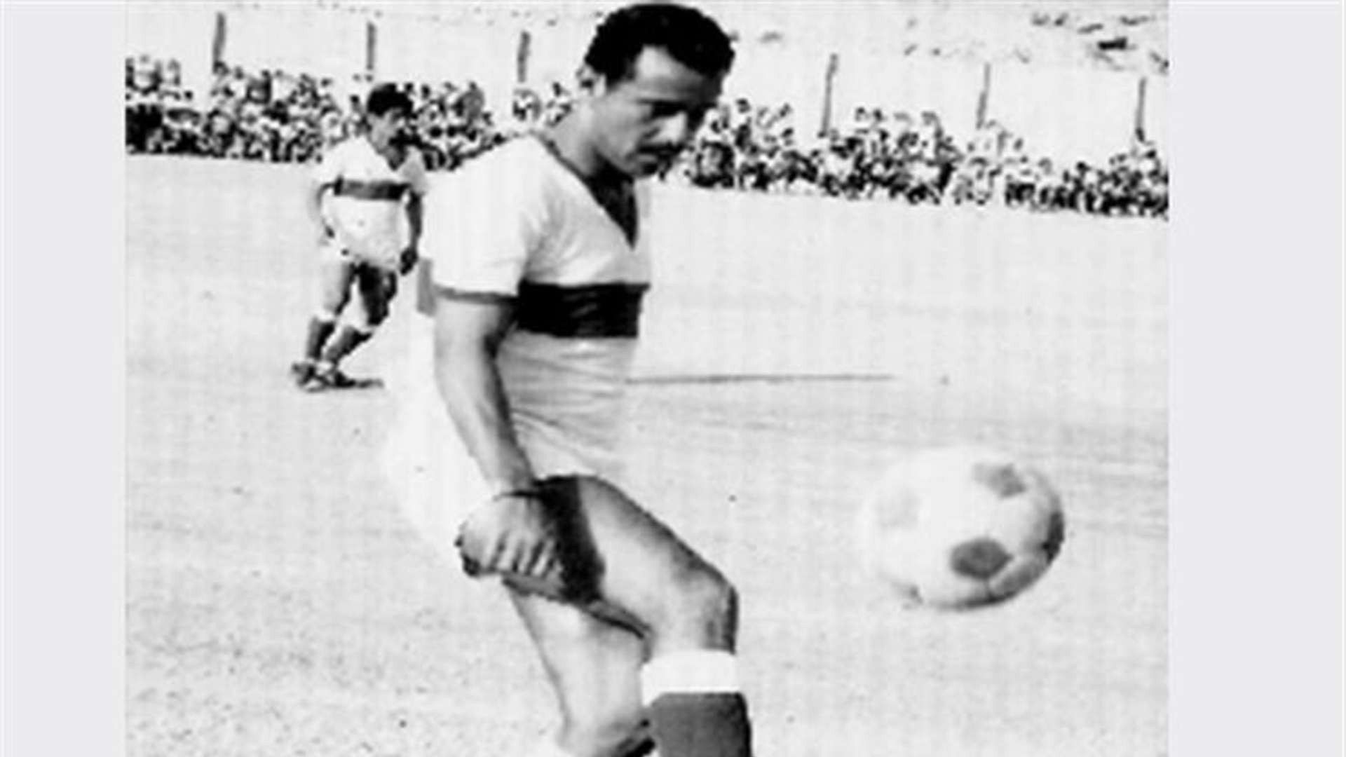 علي محسن المريسي