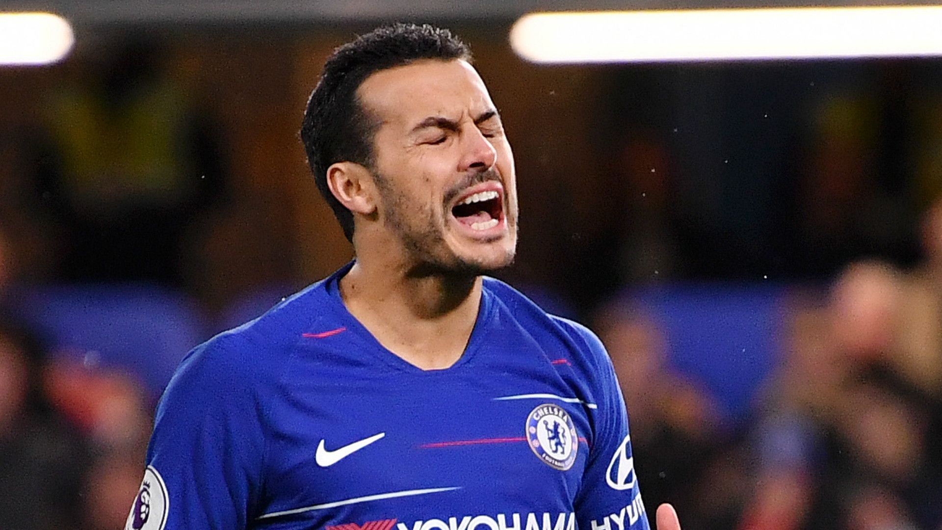 Pedro Chelsea 2018-19