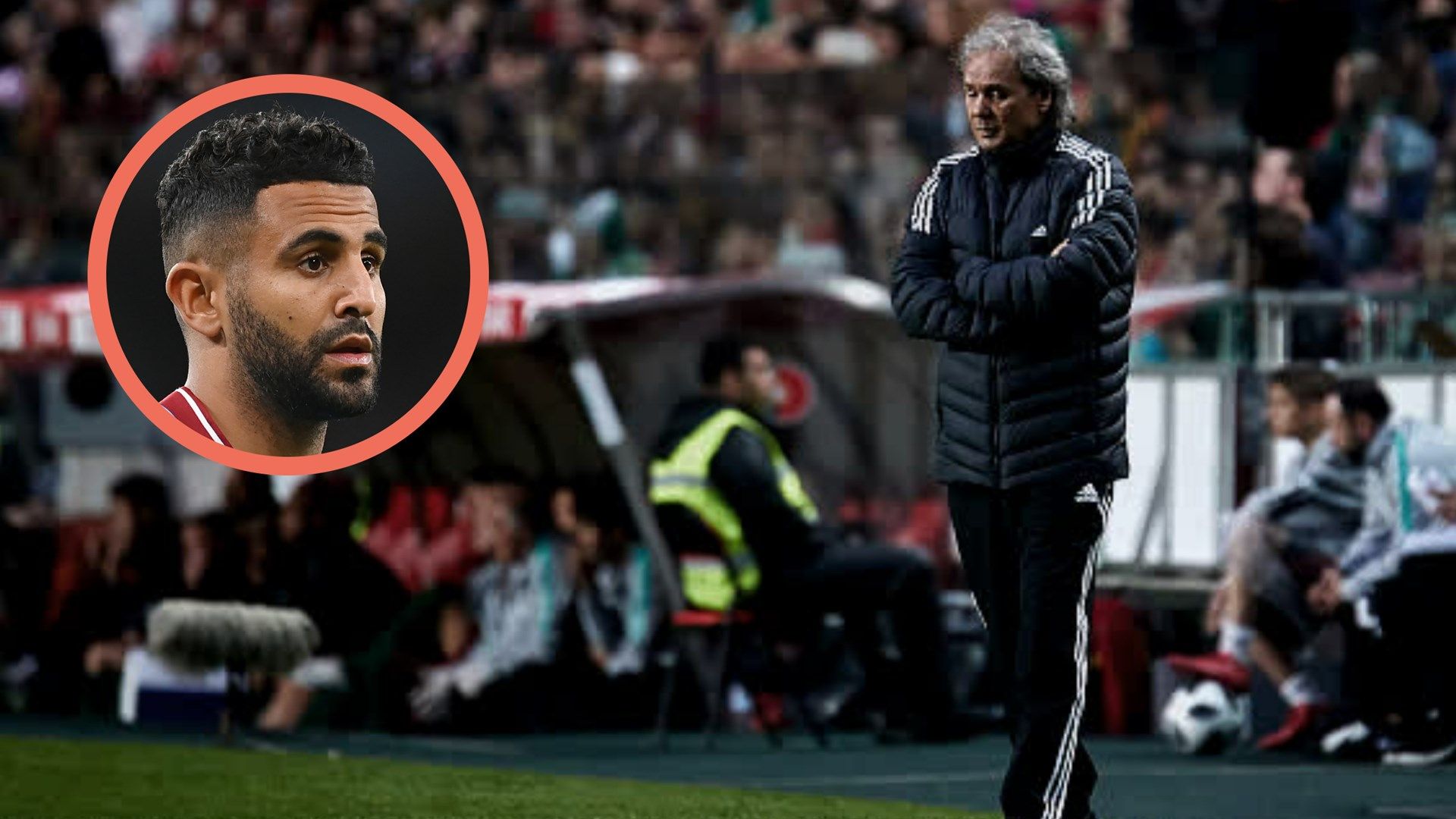 Rabah Madjer Riyad Mahrez Algeria