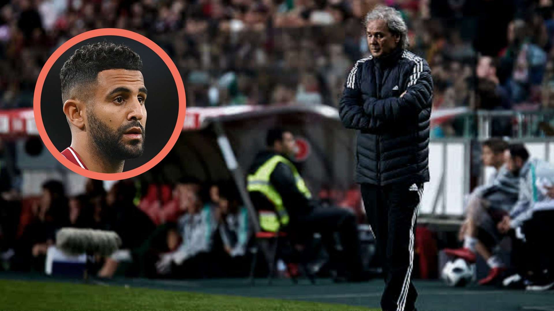 Rabah Madjer Riyad Mahrez Algeria