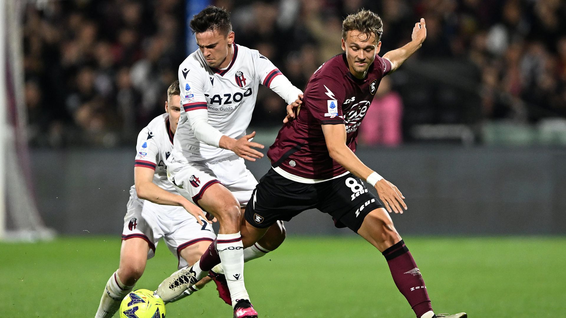 Emil Bohinen Salernitana Bologna Serie A