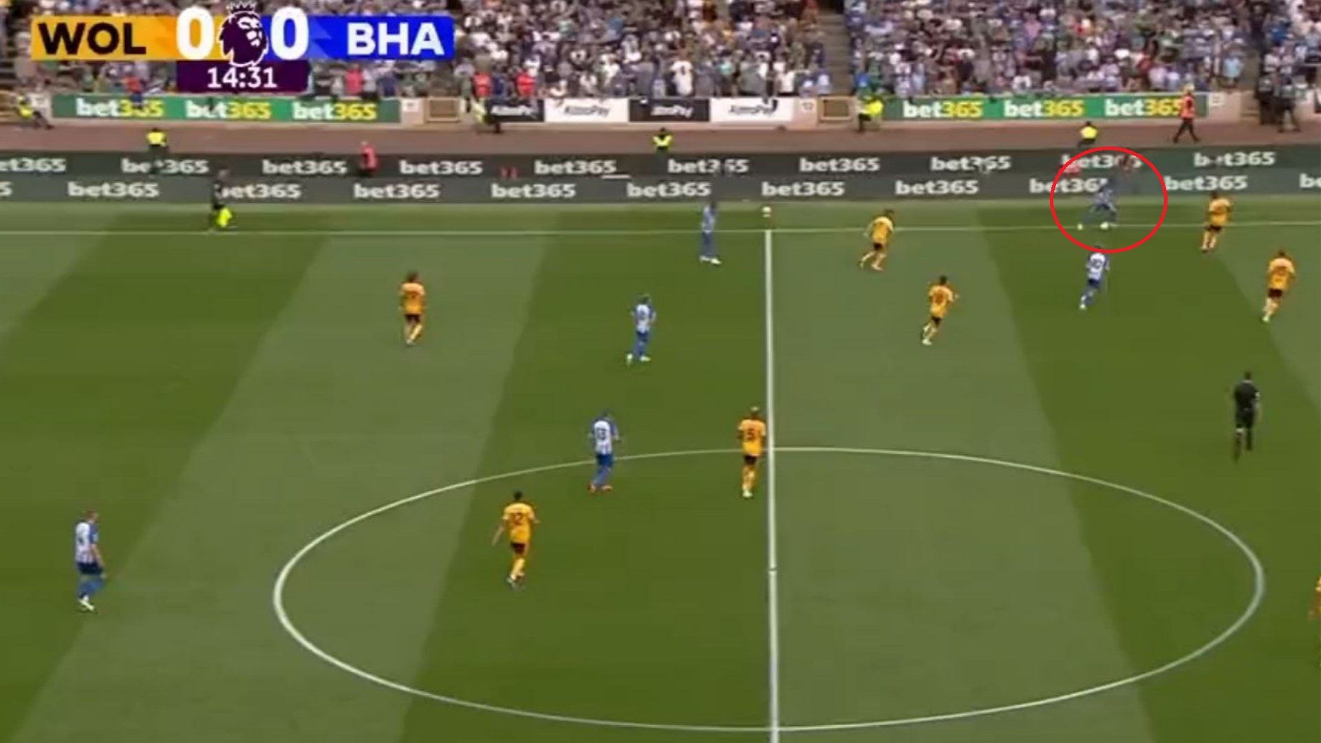 Kaoru Mitoma Brightton Wolves