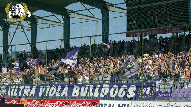 Ultra Viola Bulldogs