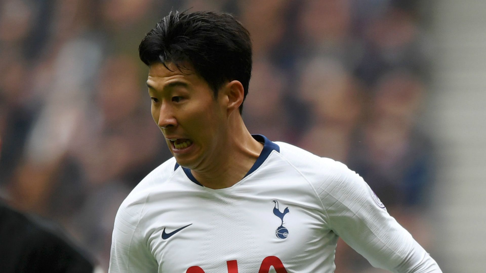 Son Heung-min Tottenham 2018-19