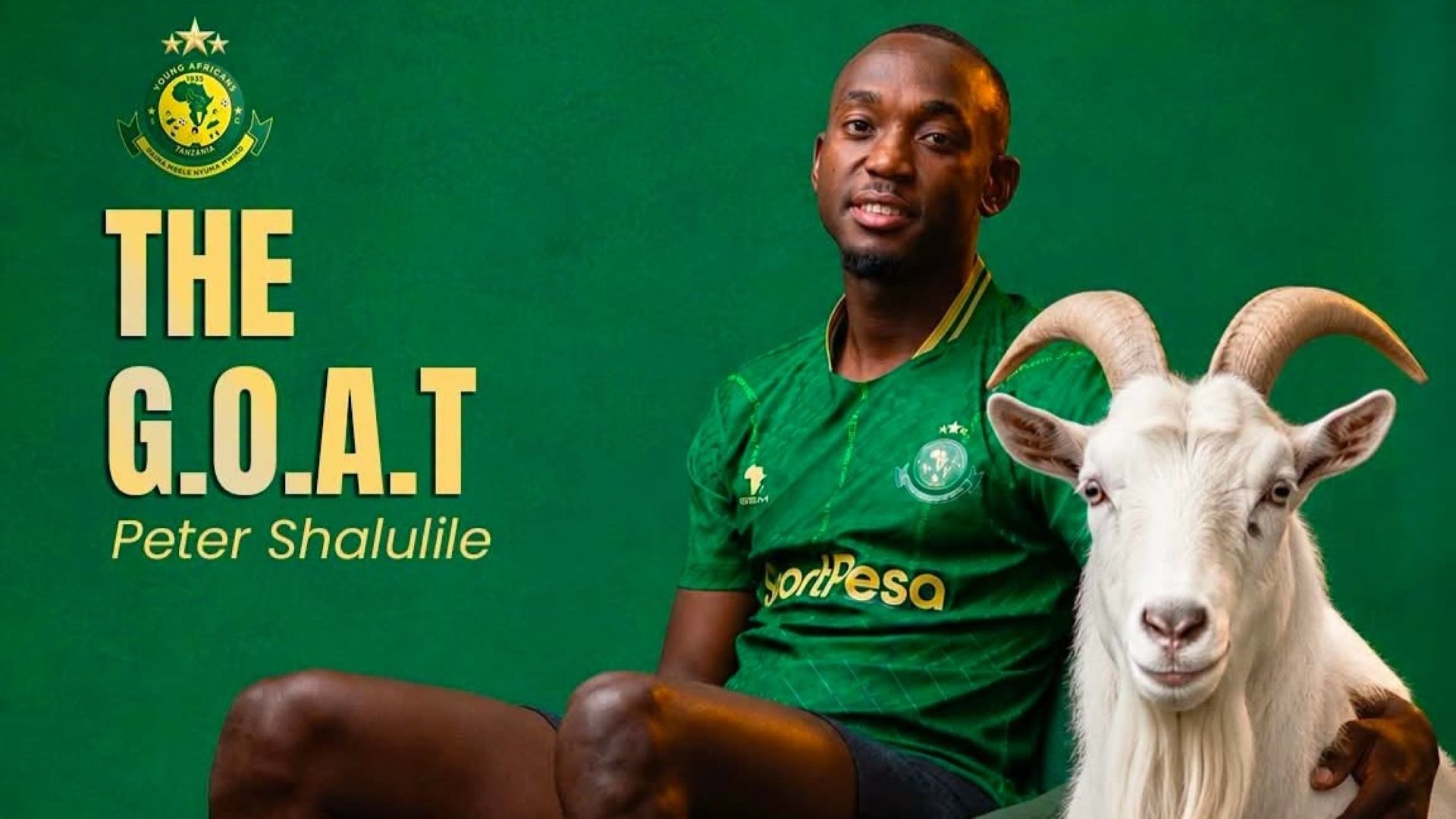 Peter Shalulile Yanga GOAT