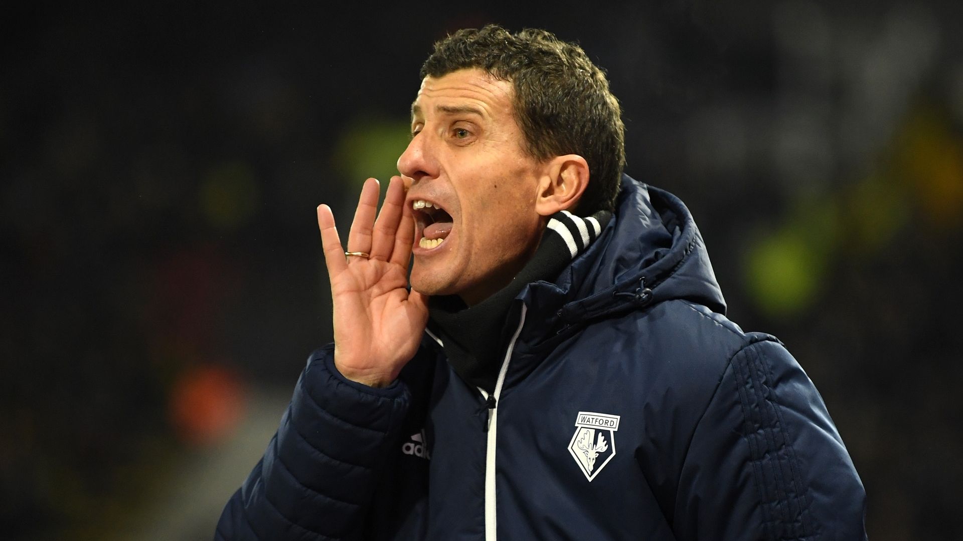 Javi Gracia - Watford