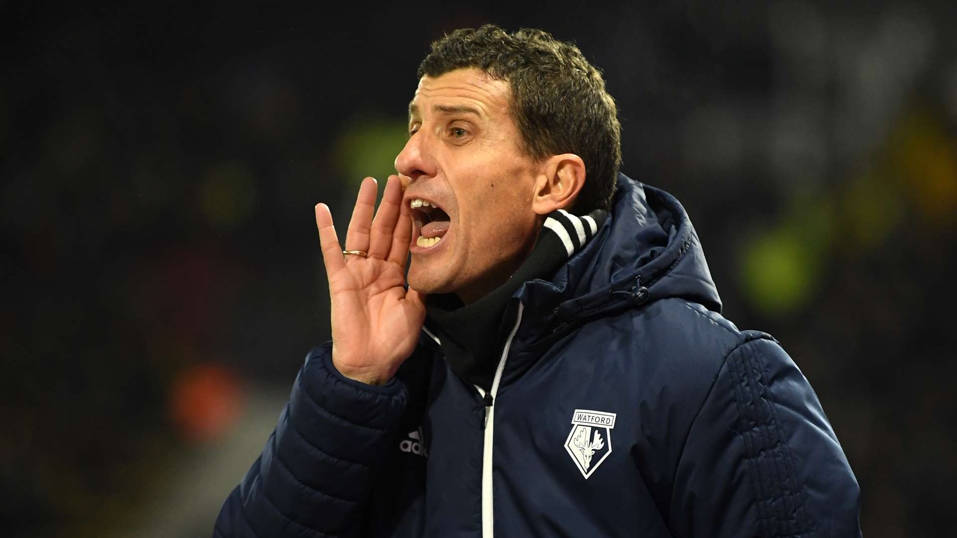 Javi Gracia - Watford