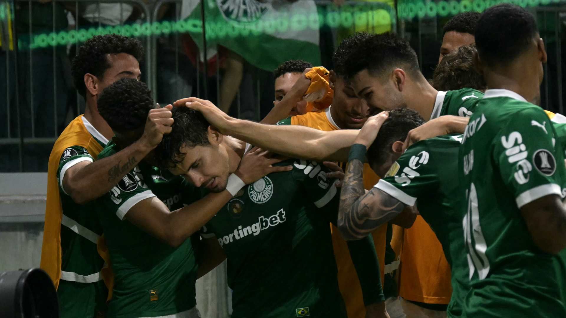 palmeiras