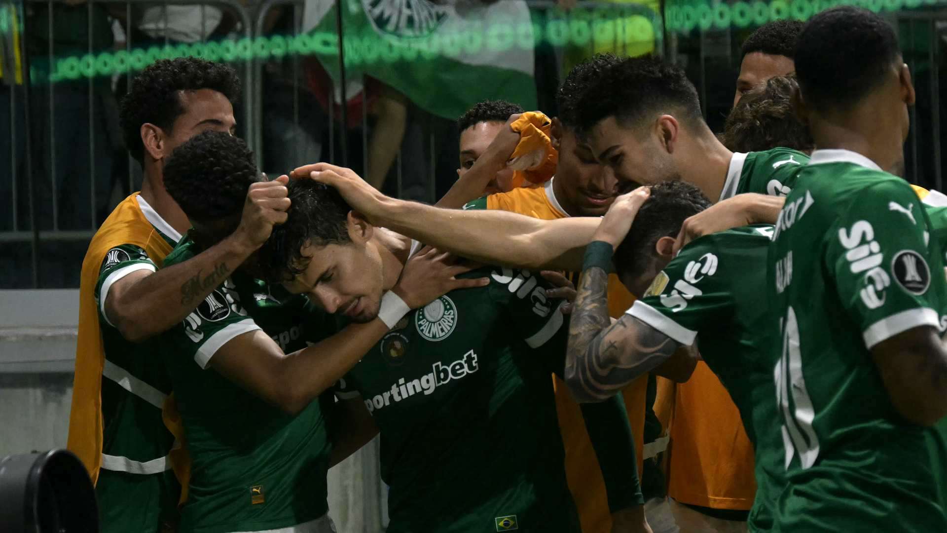 palmeiras