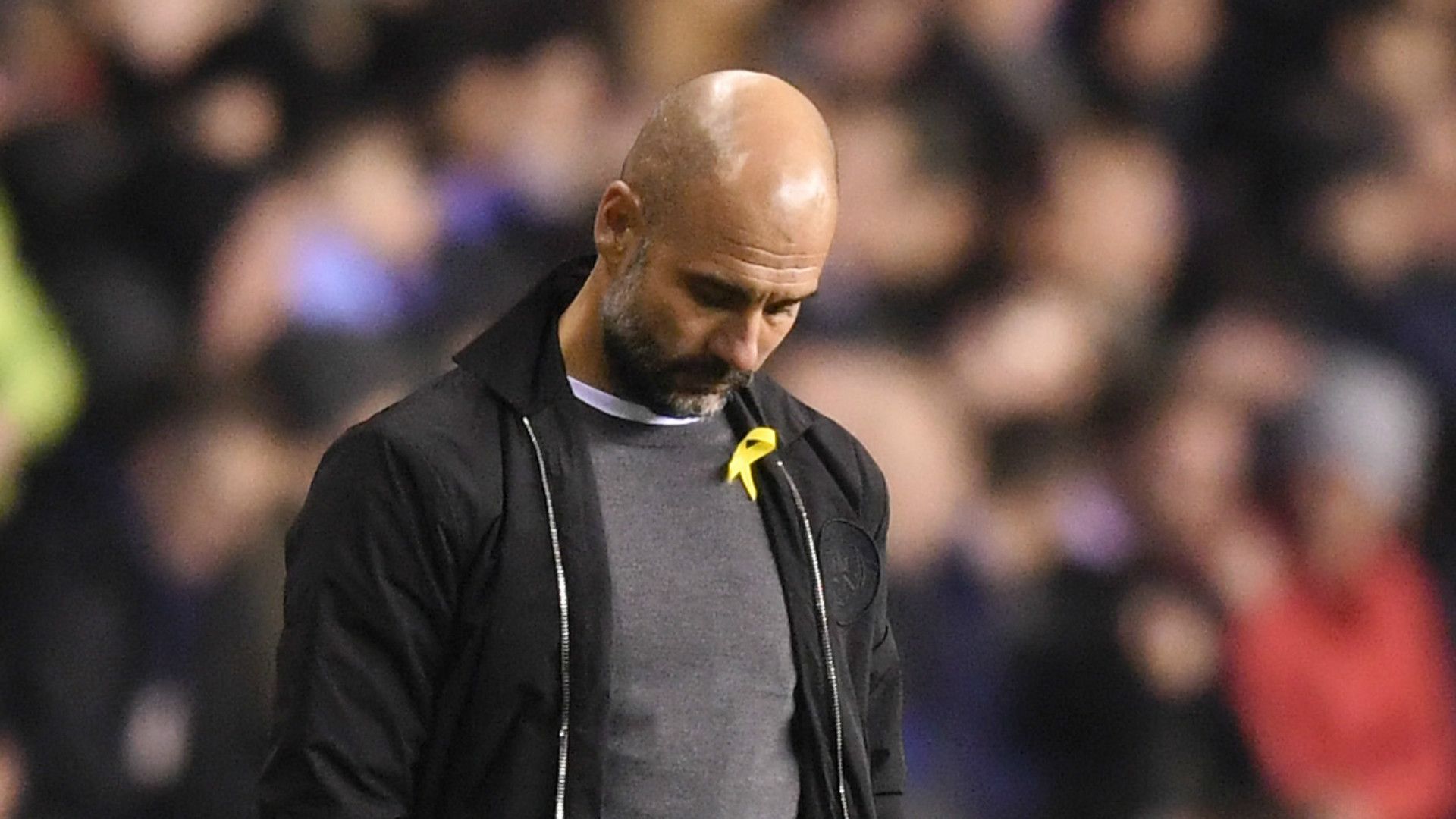 Pep Guardiola Manchester City