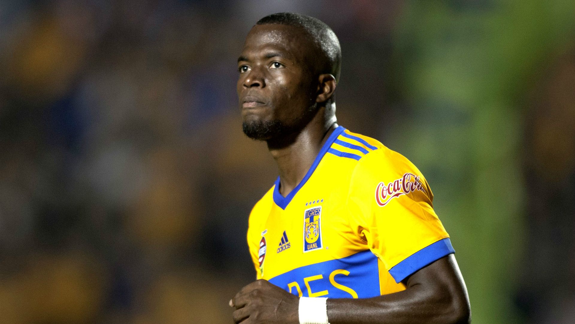 Enner Valencia Tigres
