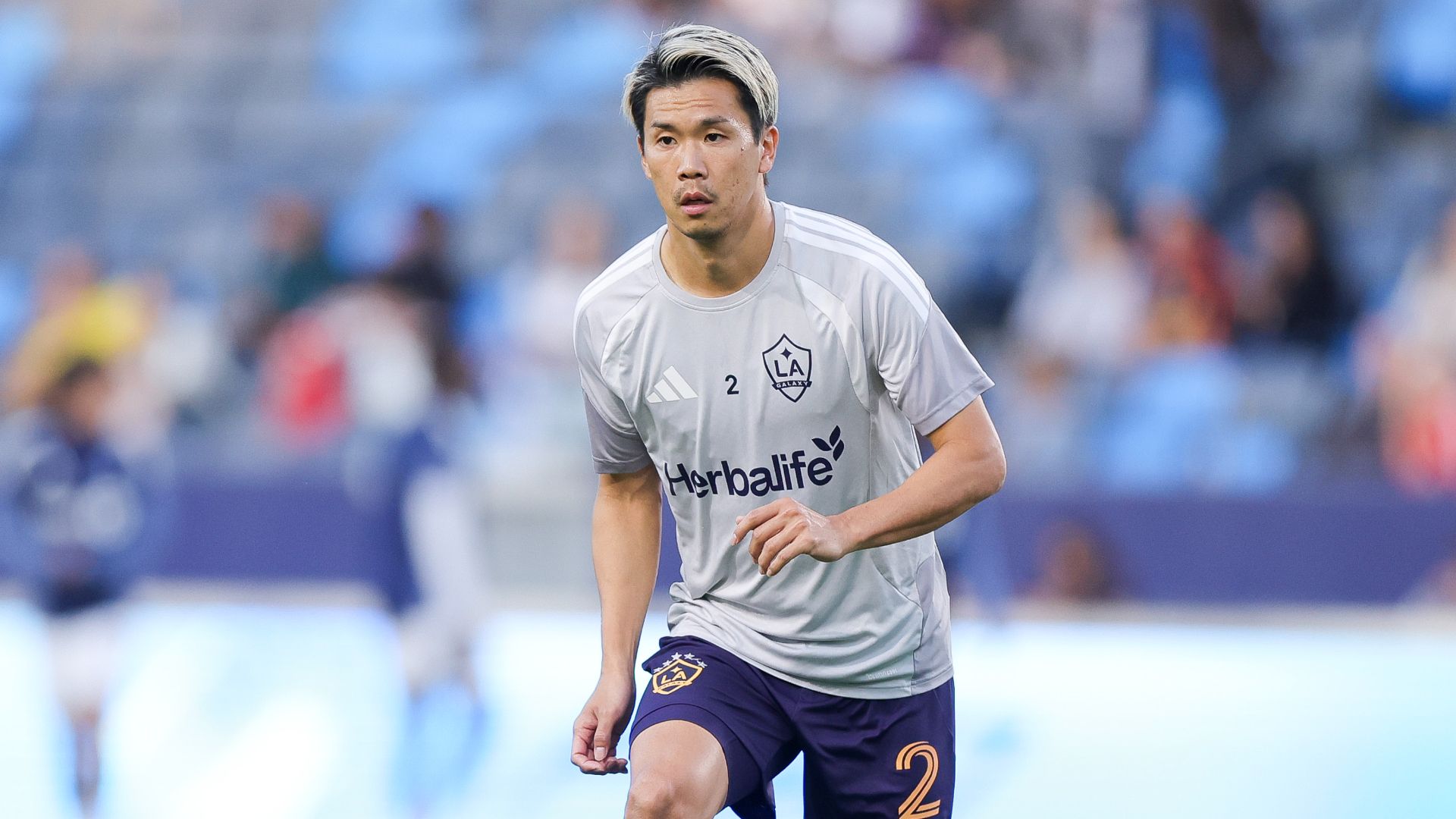 miki-yamane