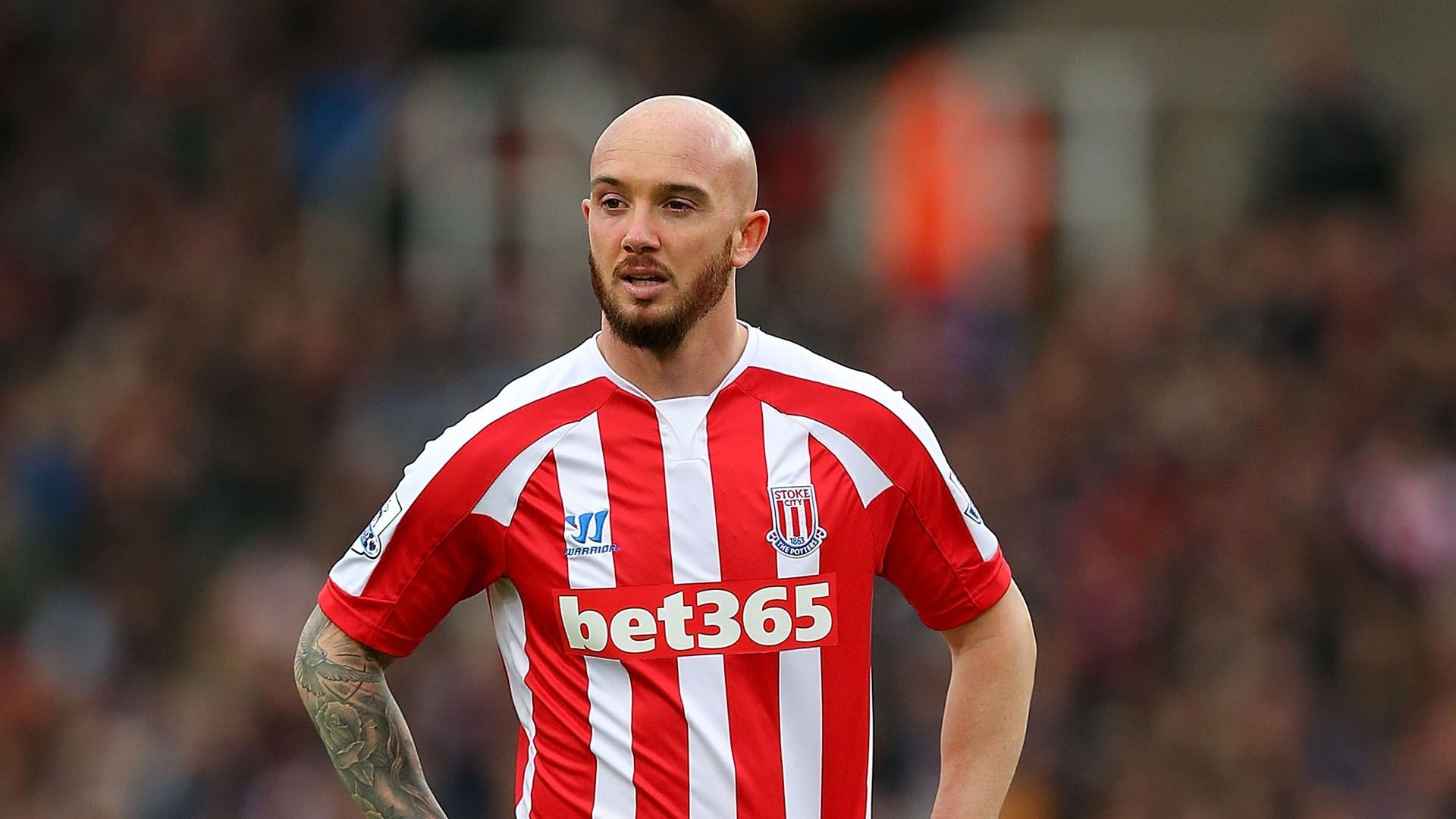 Stephen Ireland Stoke City 2015