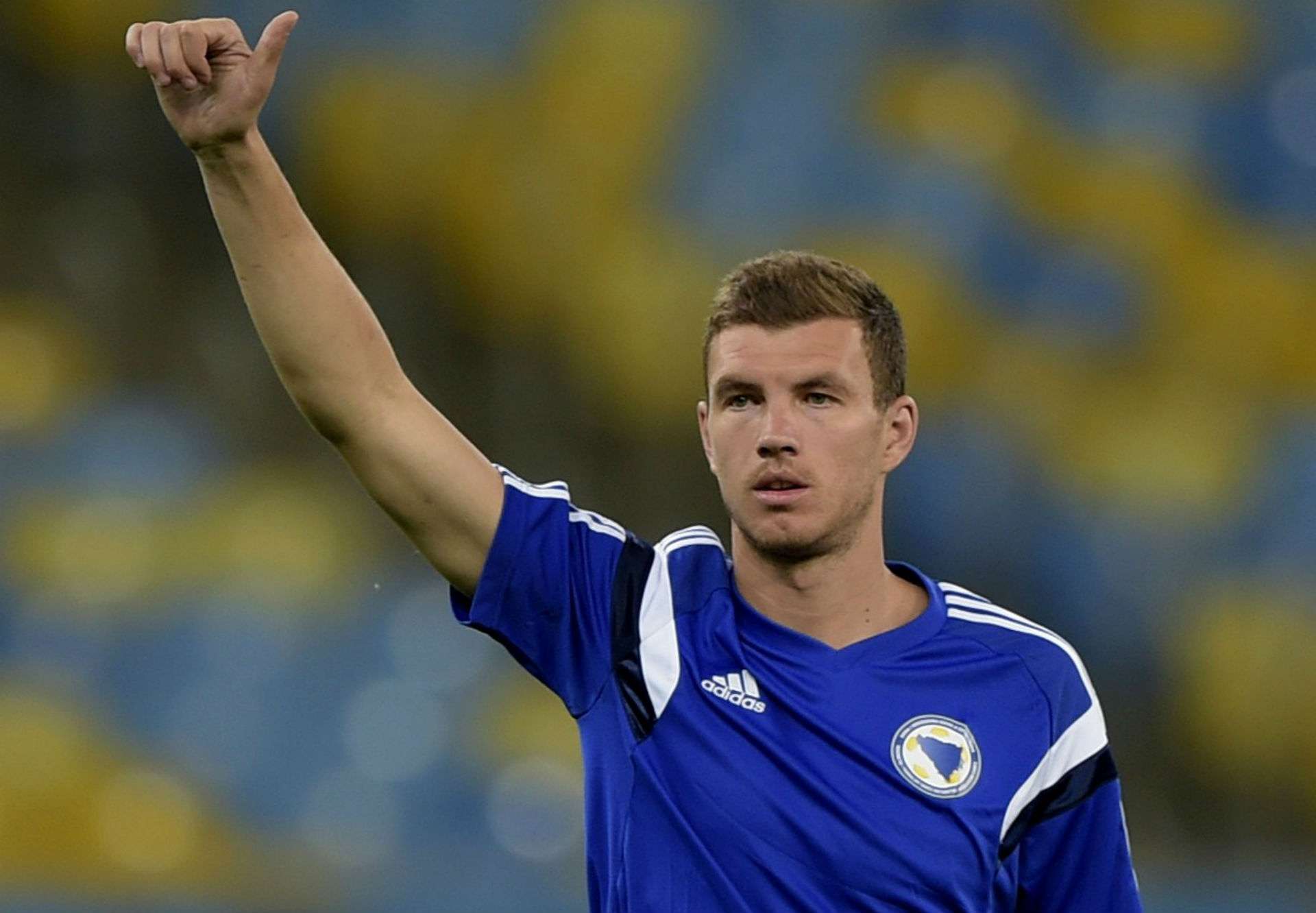 edin dzeko bosna i hercegovina