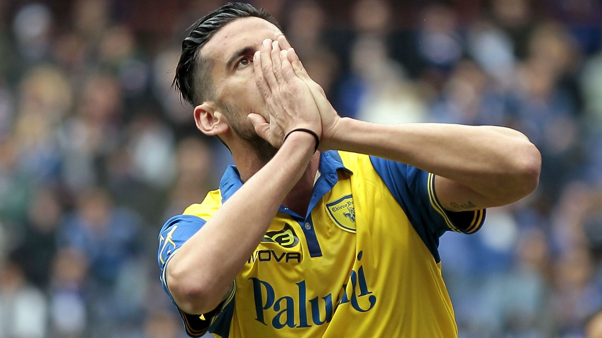 Nicolas Spolli Chievo Serie A