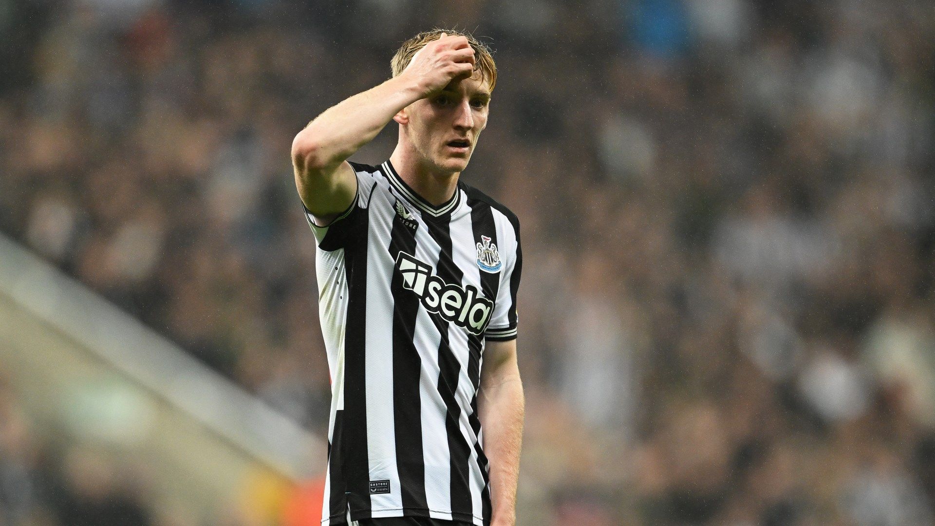 Anthony Gordon Newcastle Dortmund Champions League 2023-24