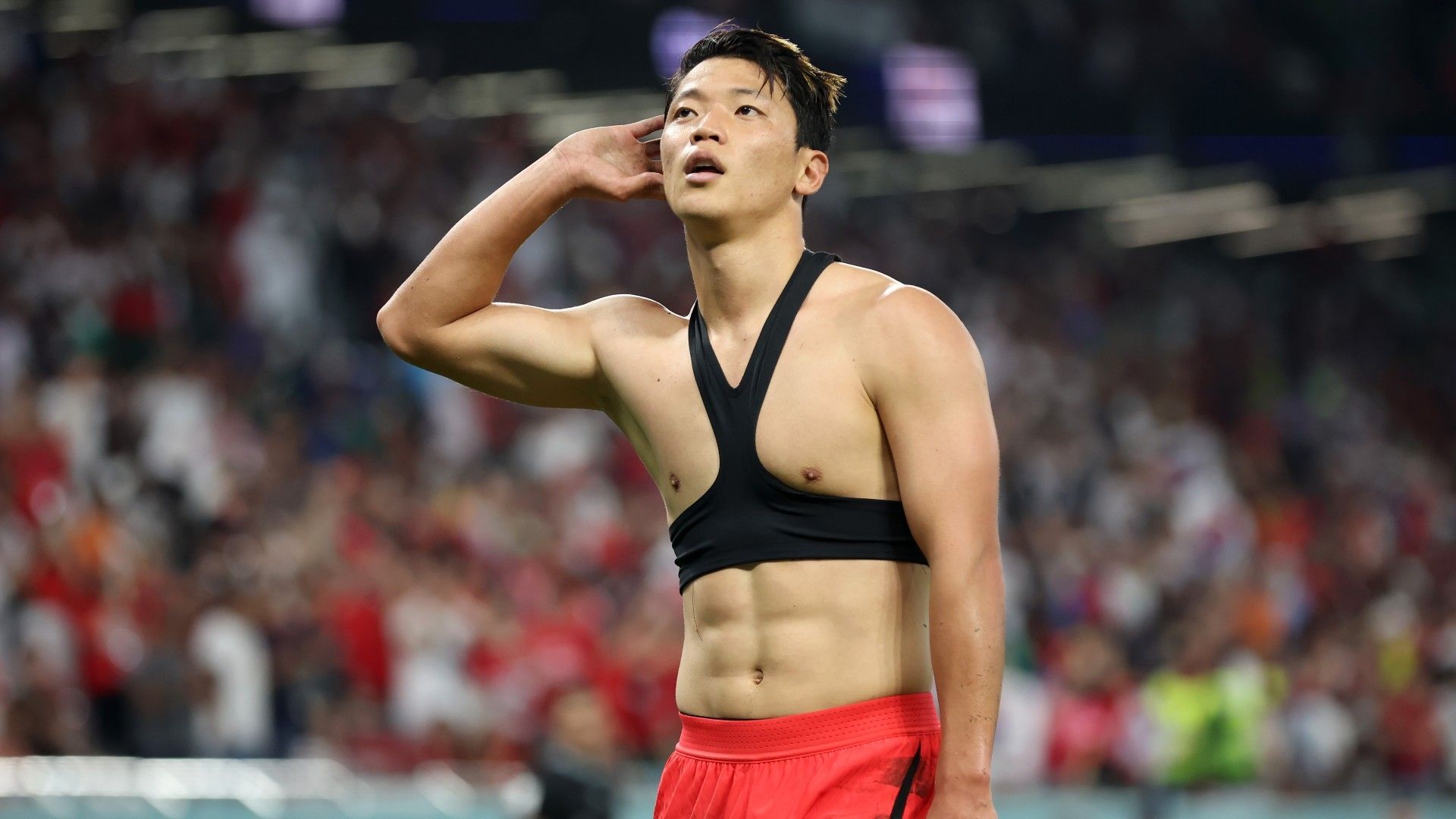 Hwang-hee Chan 2022 World Cup