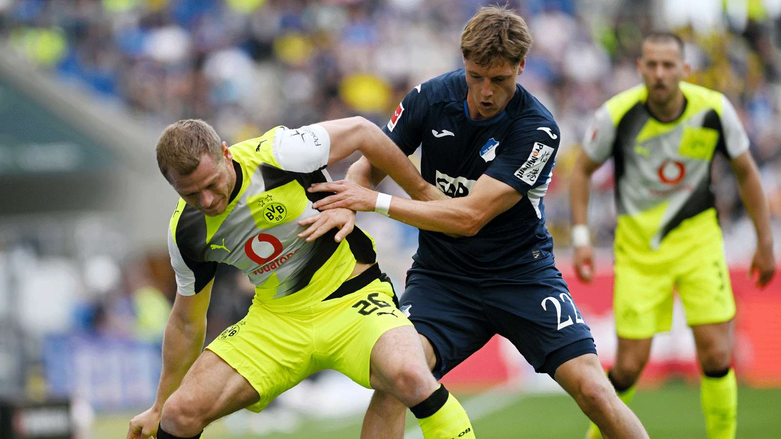 BVB Hoffenheim