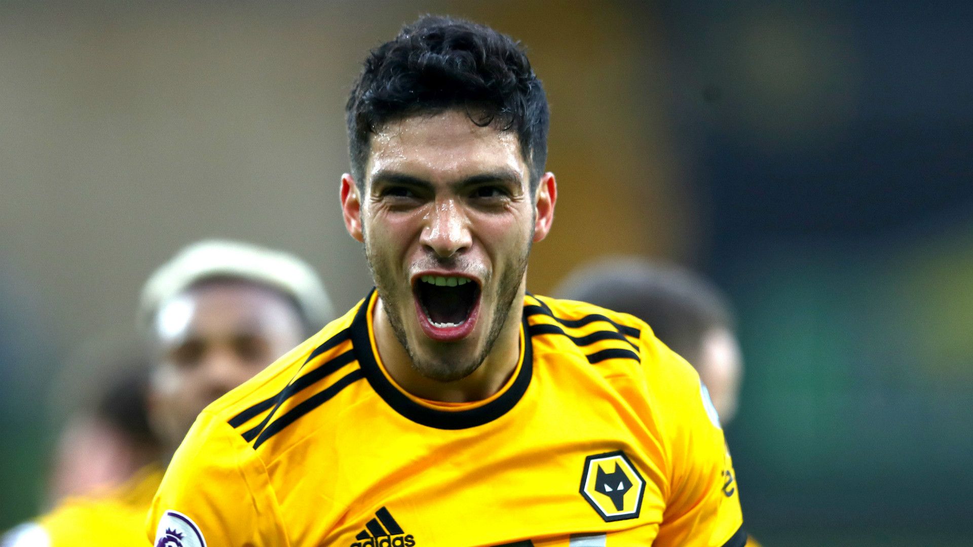 Raul Jimenez Wolves 2018-19