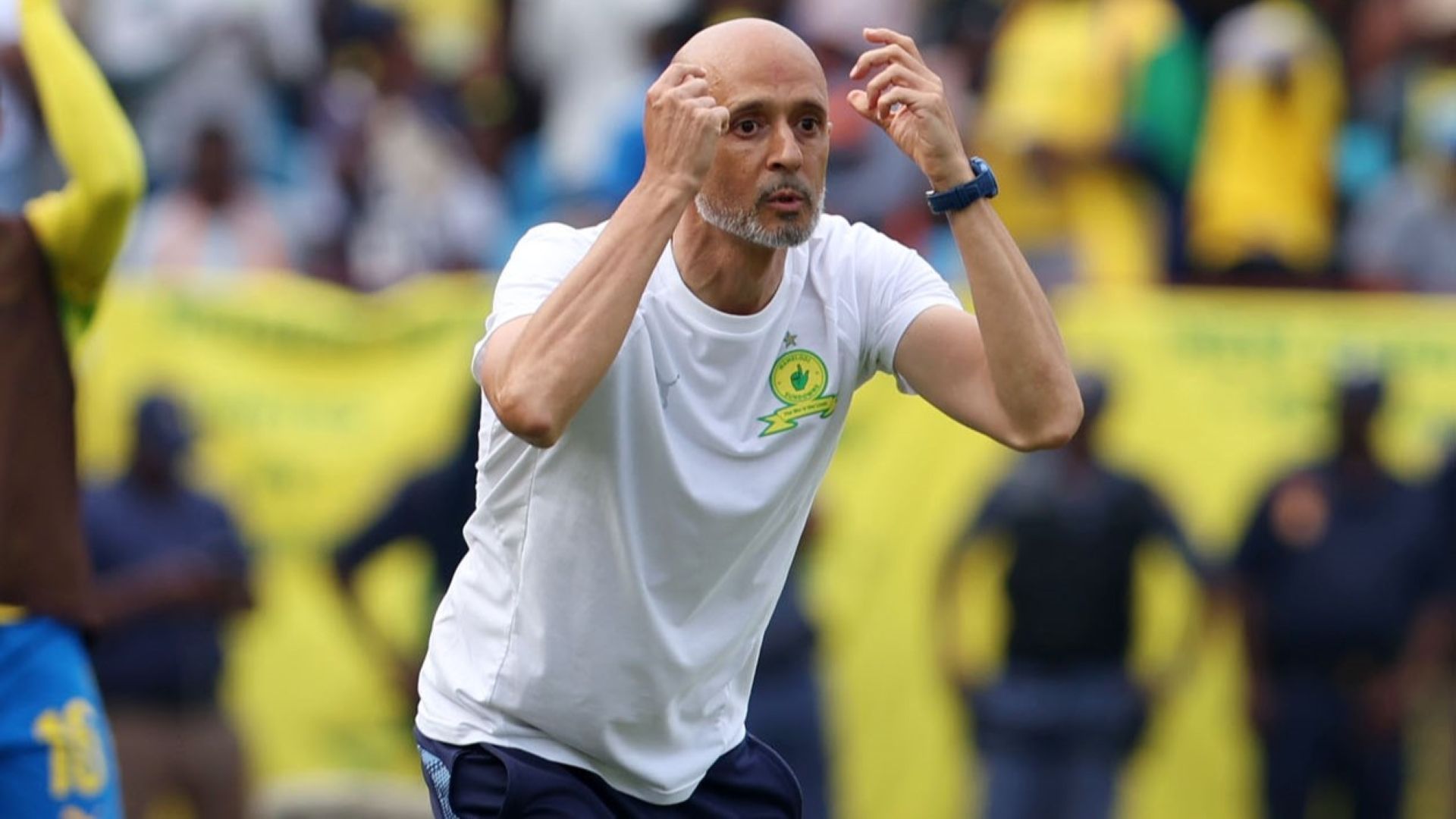 Miguel Cardoso, Mamelodi Sundowns