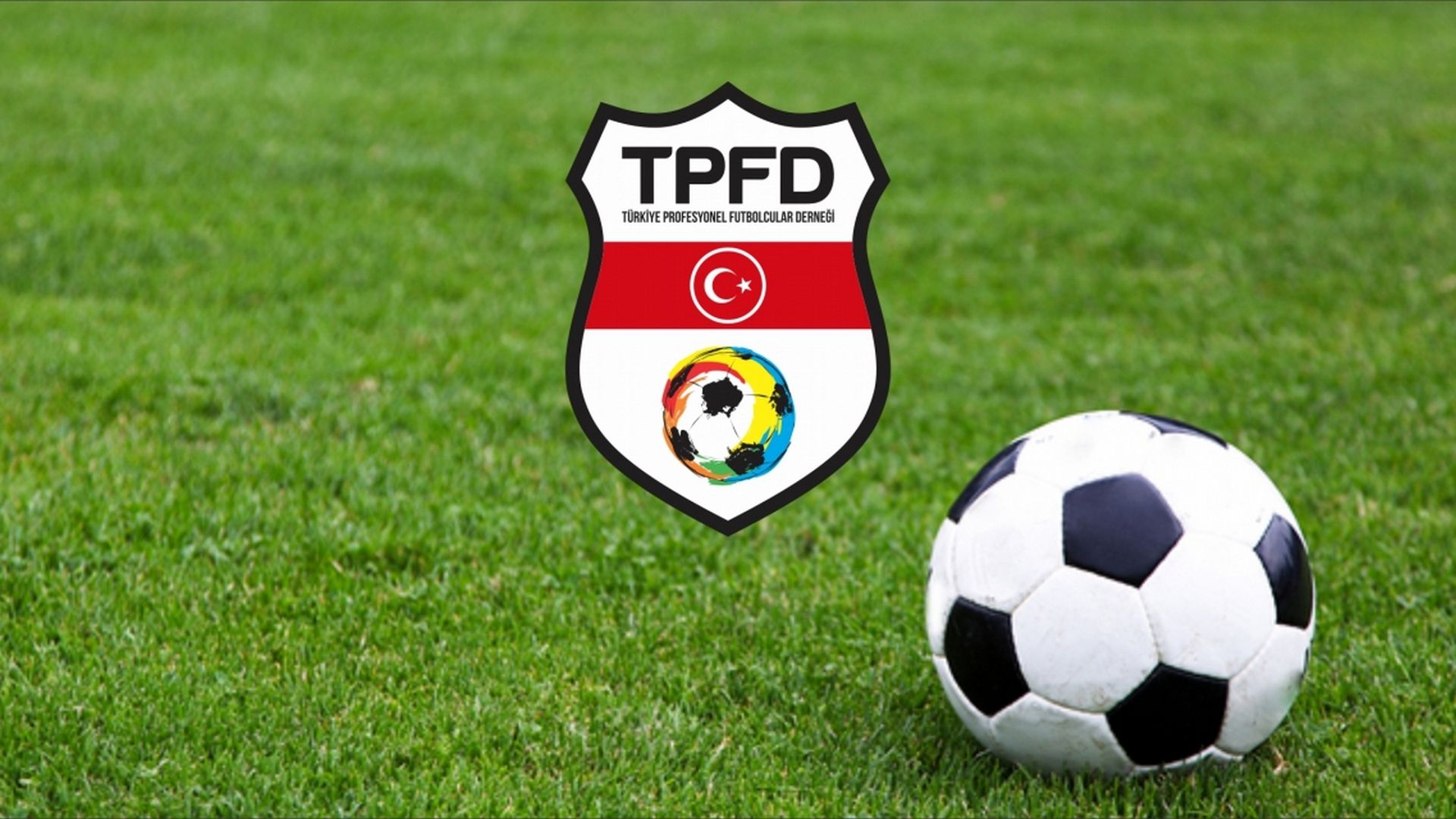 Tpfd Logo
