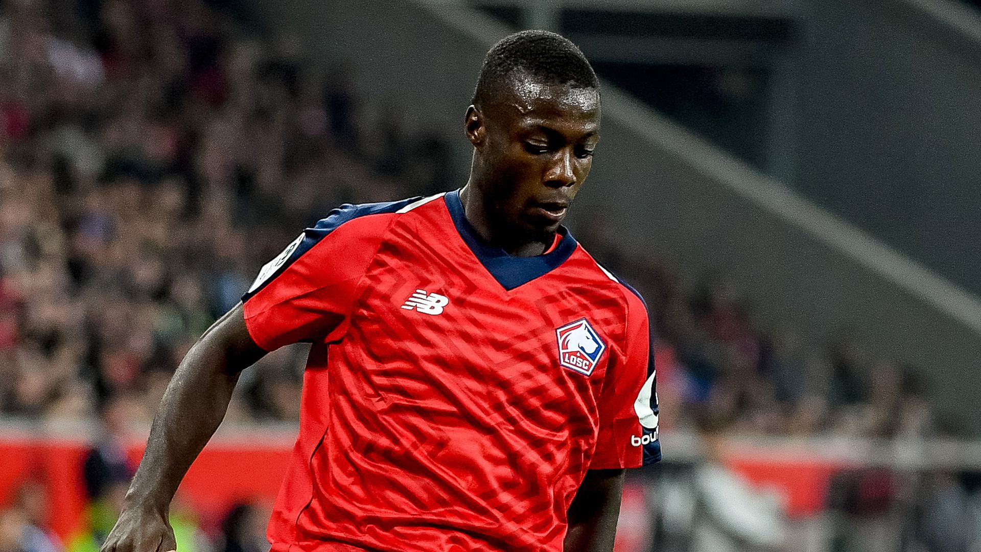 Nicolas Pepe Lille Ligue 1 2018-19