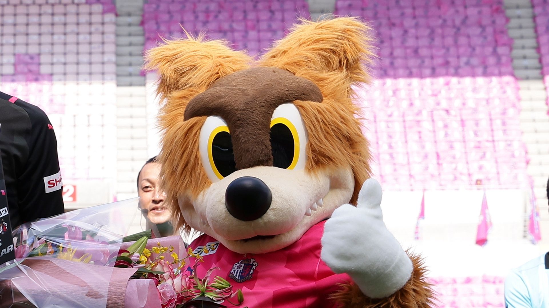 Cerezo Osaka_mascot