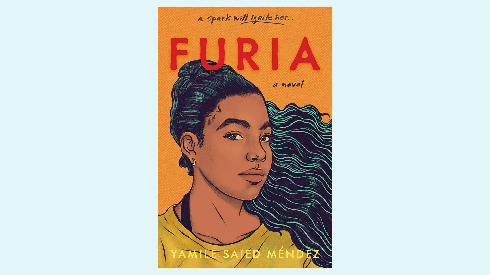 Book - Furia