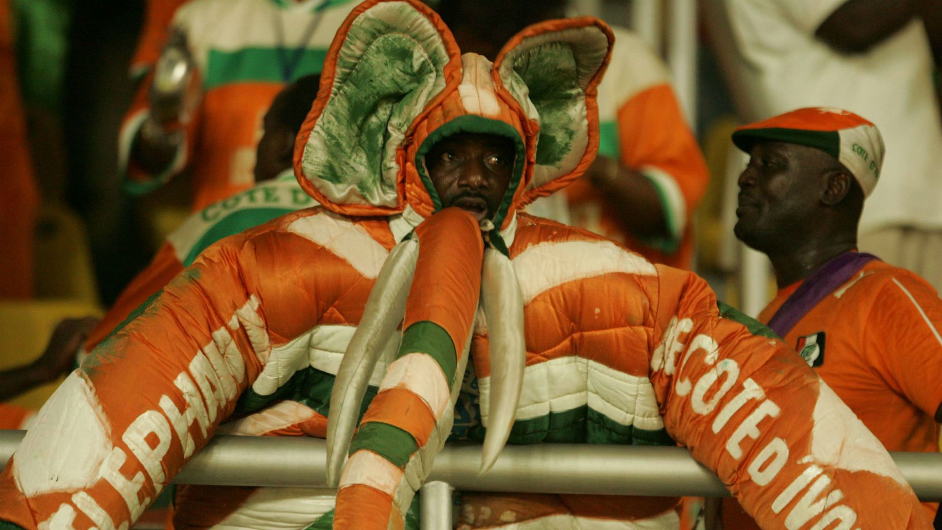 Ivory Coast fan 2008