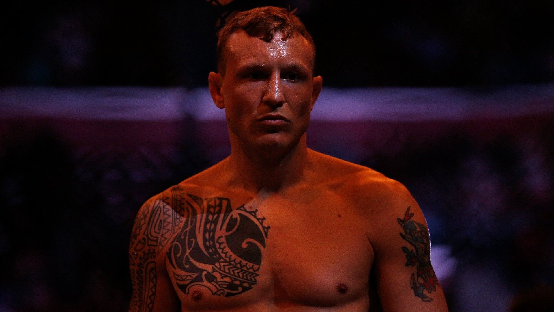 Jack Hermansson of Sweden