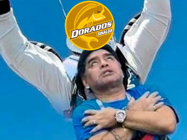 Memes Maradona Dorados
