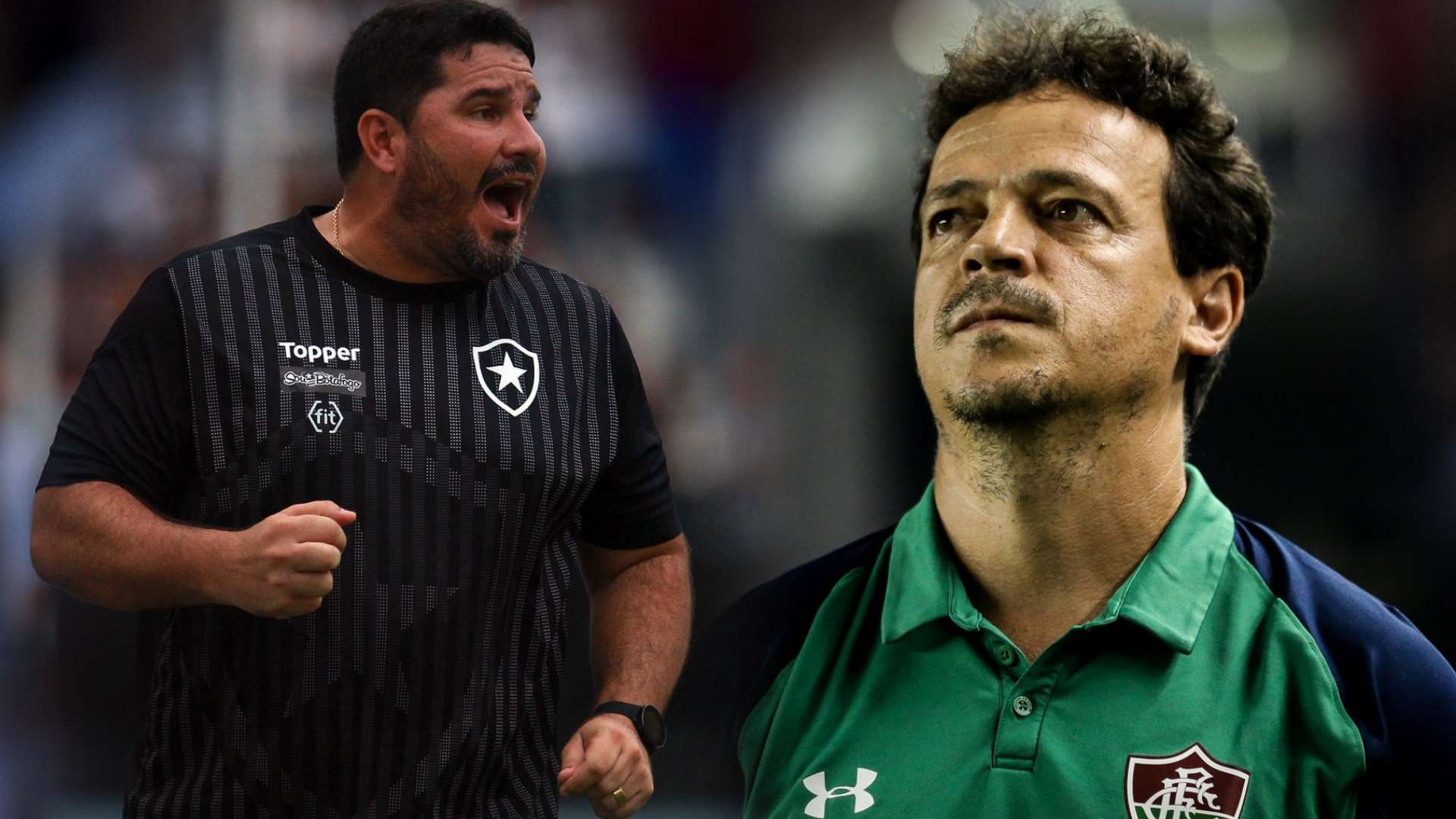 Barroca Fernando Diniz Botafogo Fluminense 10 05 2019