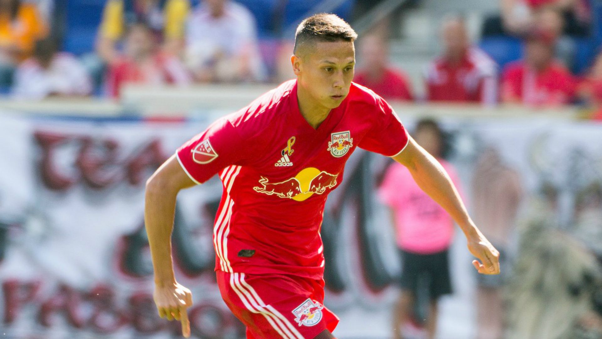 Sean Davis New York Red Bulls MLS 10112018