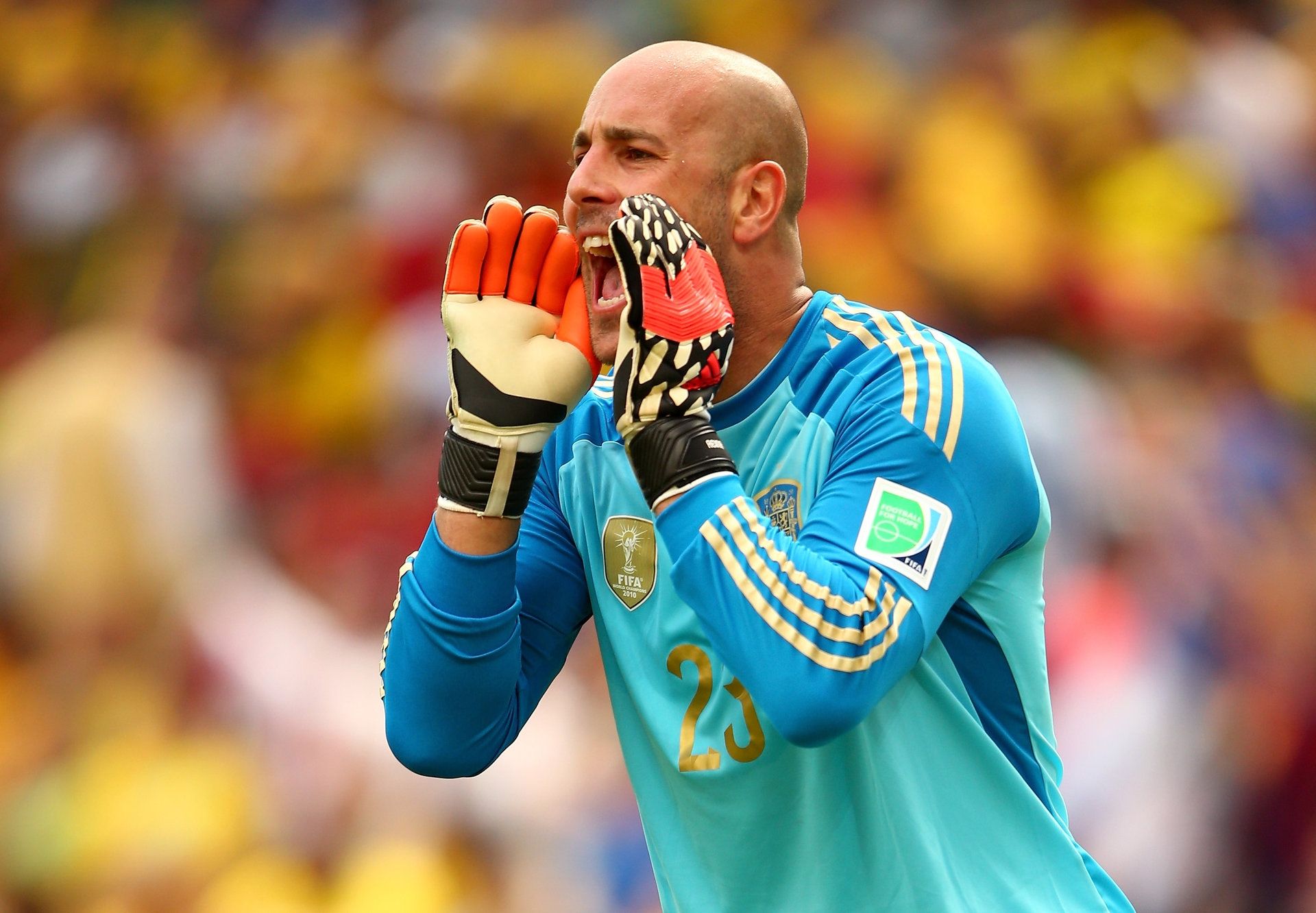 Pepe Reina Spain Australia World Cup 23062014