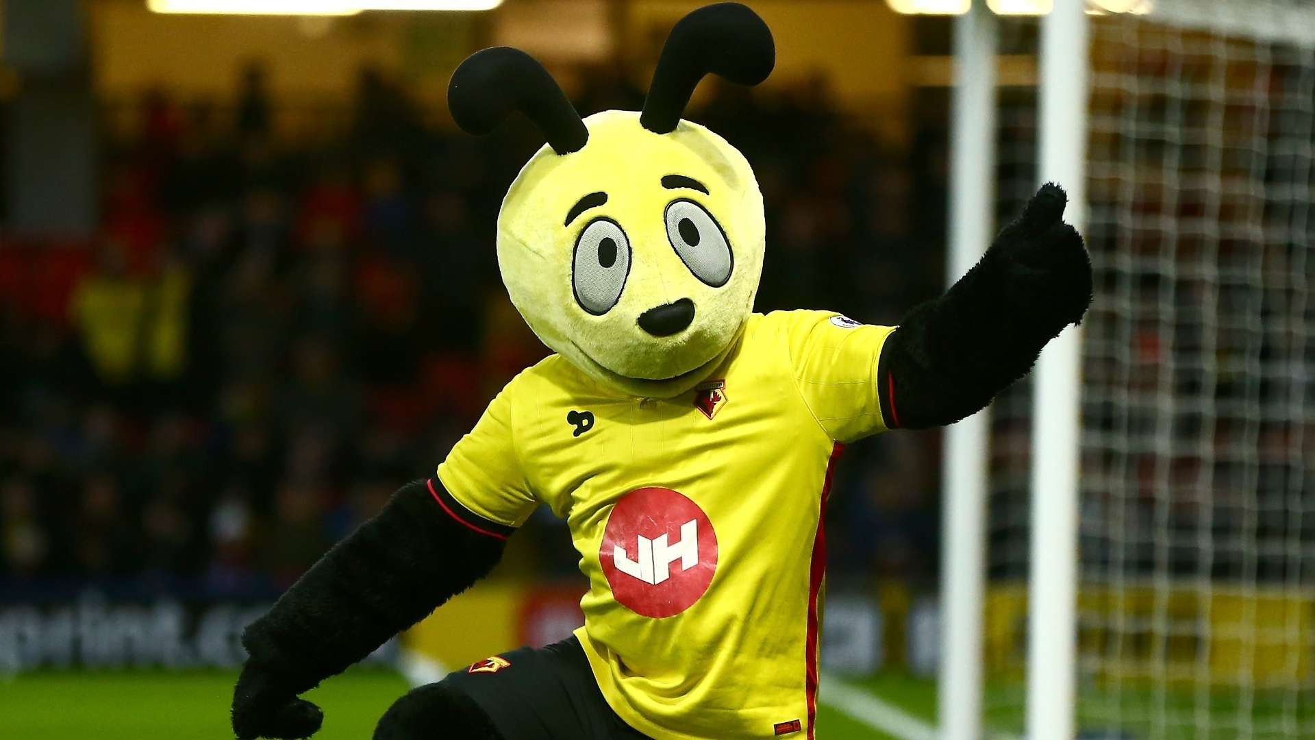 Harry the Hornet