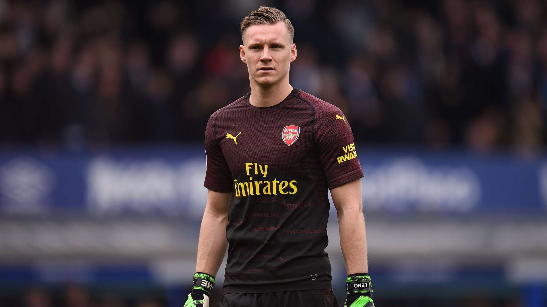 Bernd Leno Arsenal 2018/19