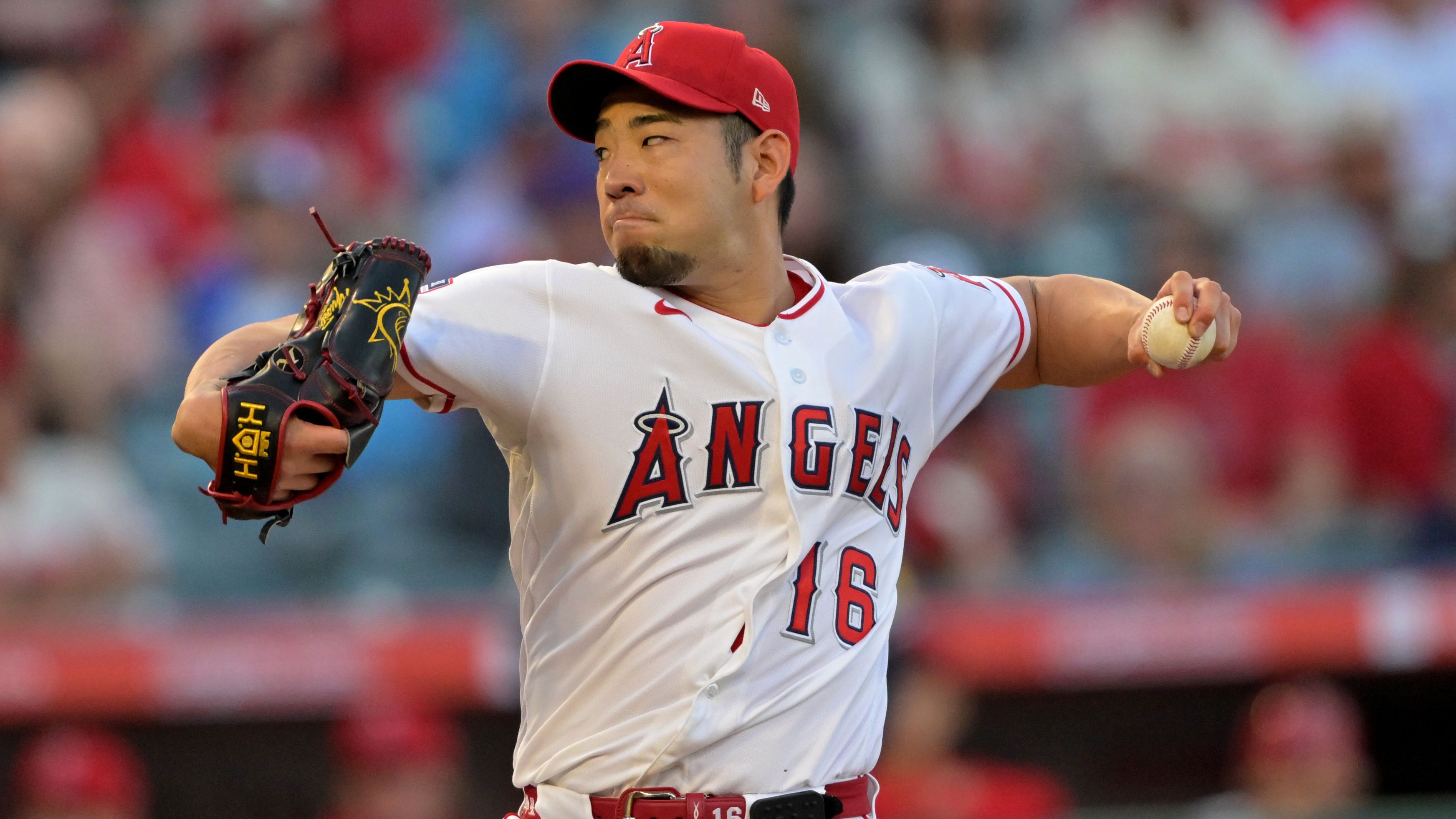 Yusei Kikuchi