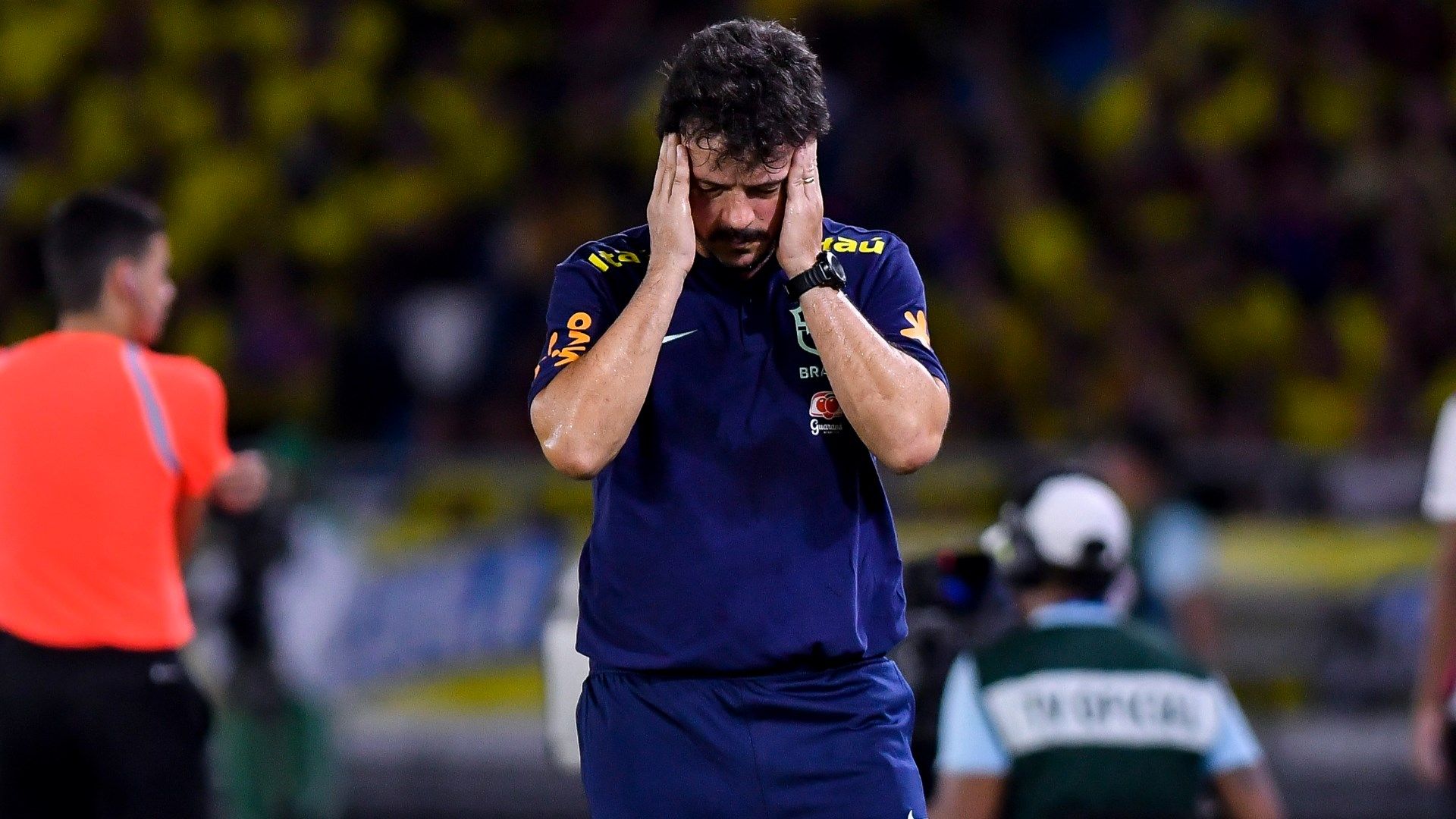 Fernando Diniz Brazil 2023-24