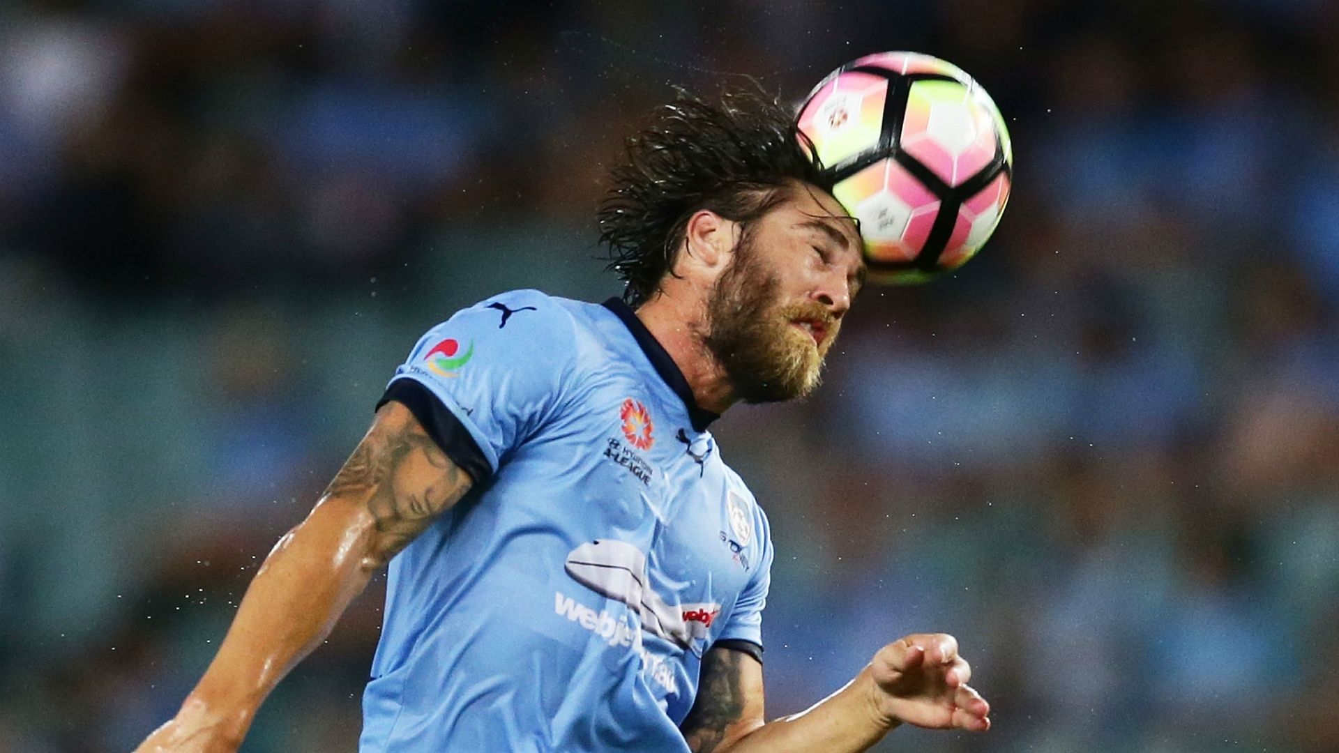 Josh Brillante Sydney FC v Adelaide United A-League 20012017