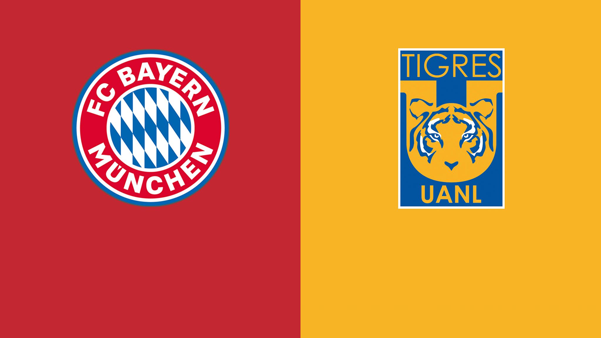 Bayern Munich Tigres