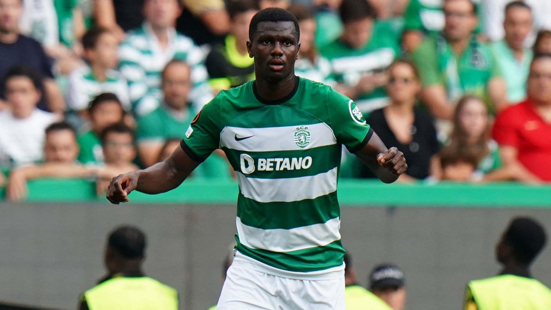 Ousmane Diomande Sporting CP 