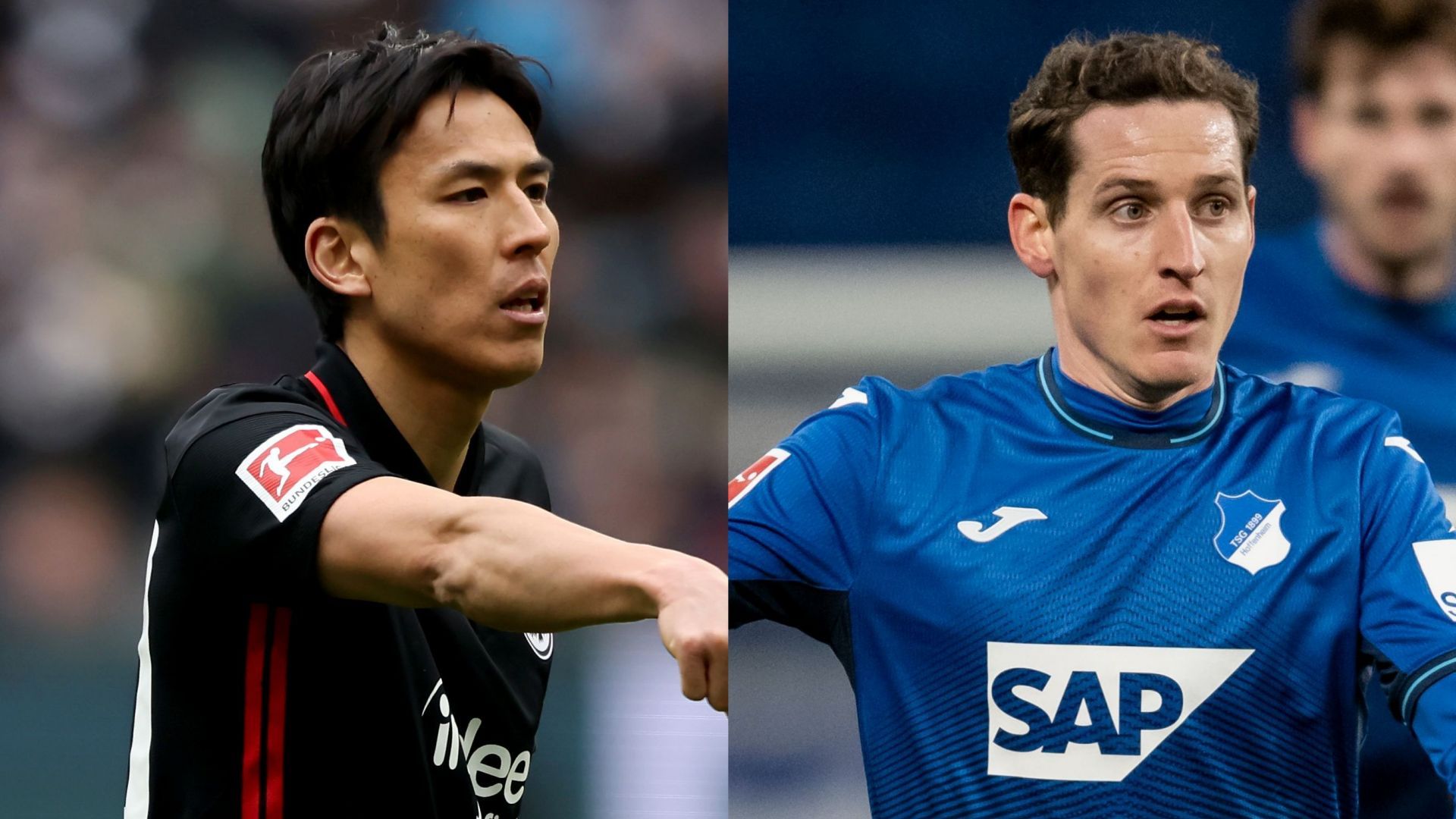 Makoto Hasebe Frankfurt Sebastian Rudy Hoffenheim