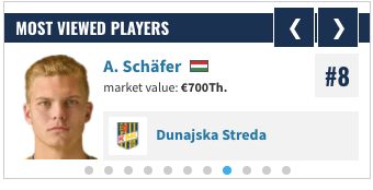 Schafer TM
