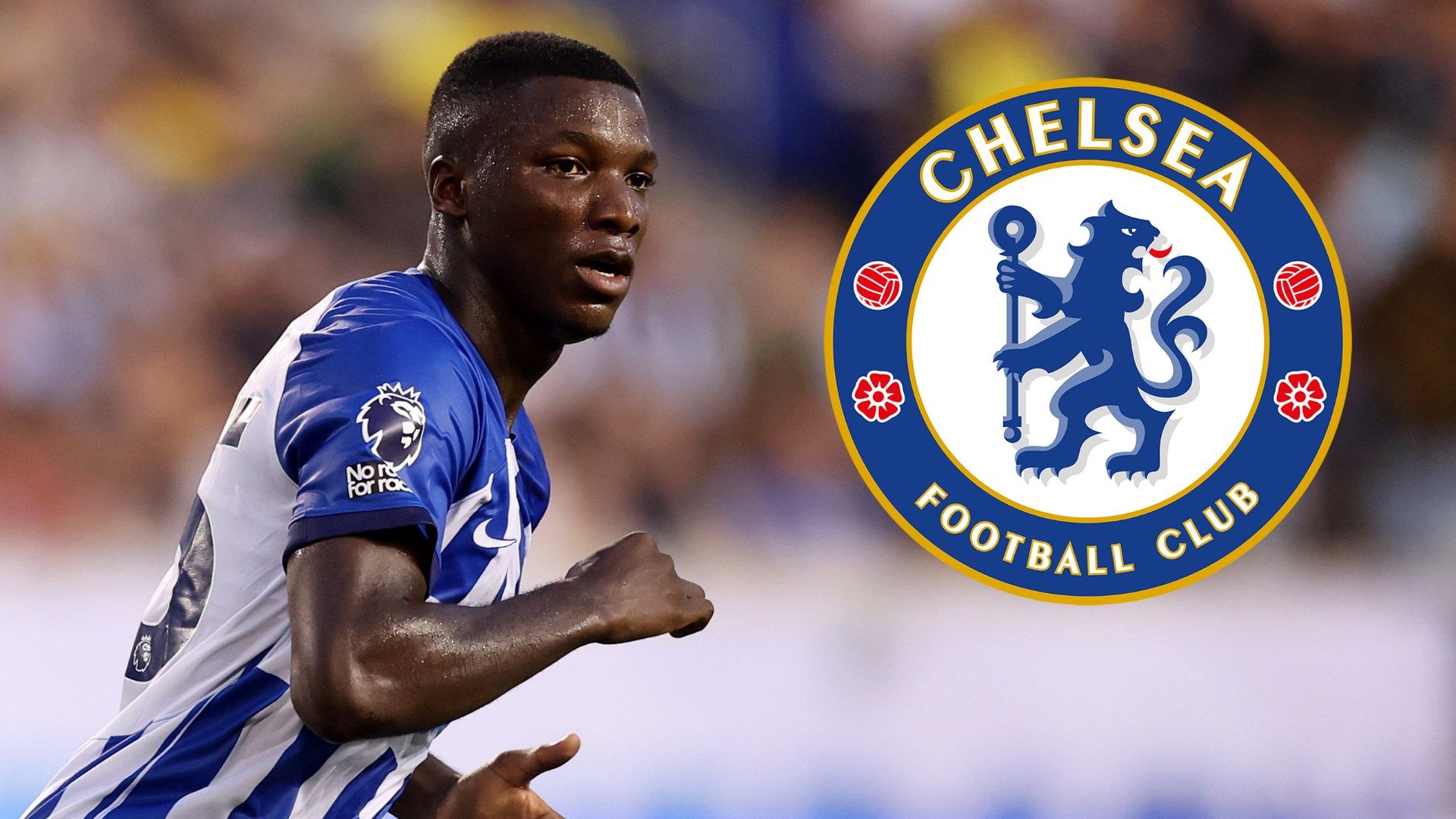 Moises Caicedo Chelsea GFX