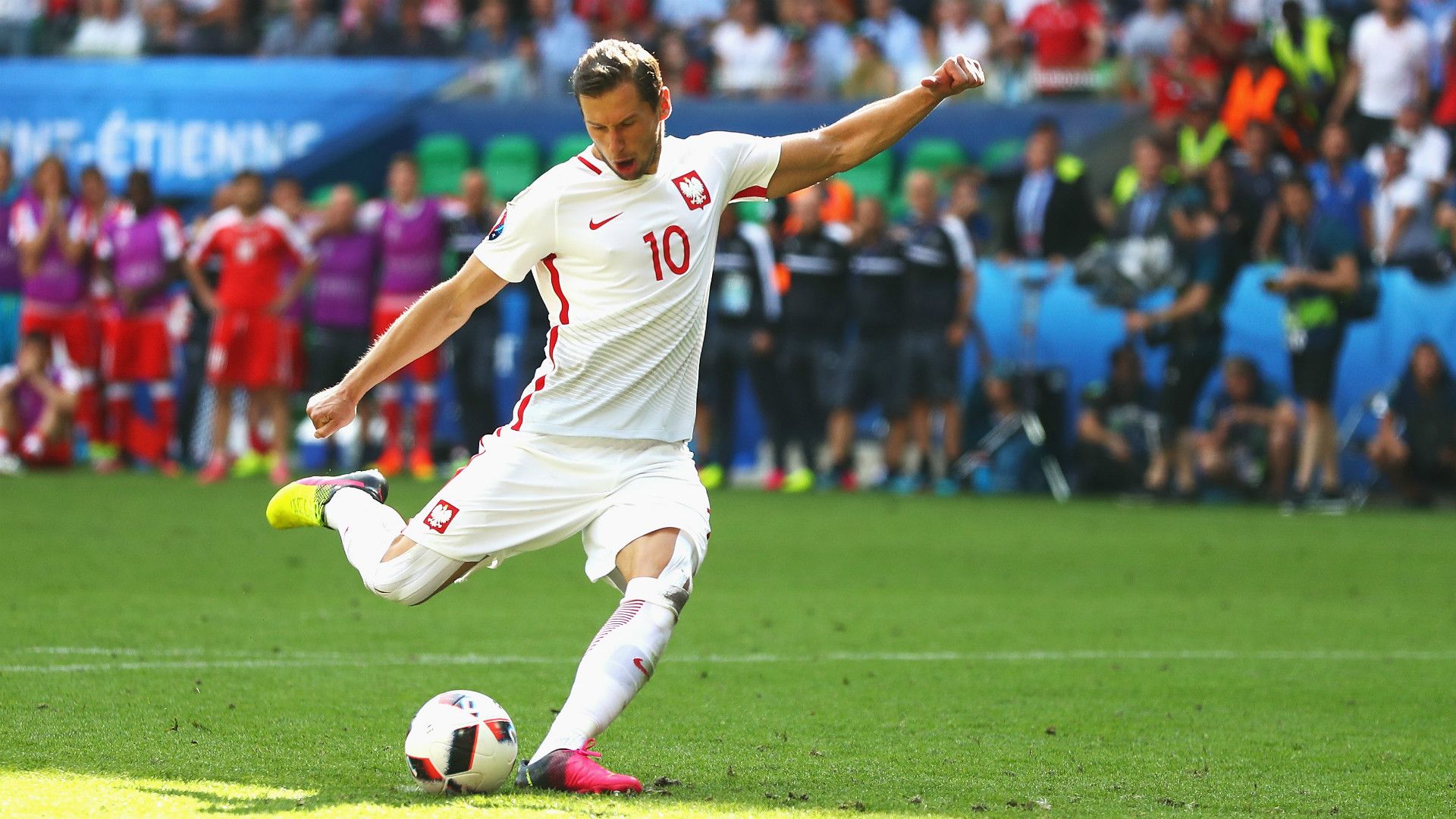 HD Grzegorz Krychowiak Poland
