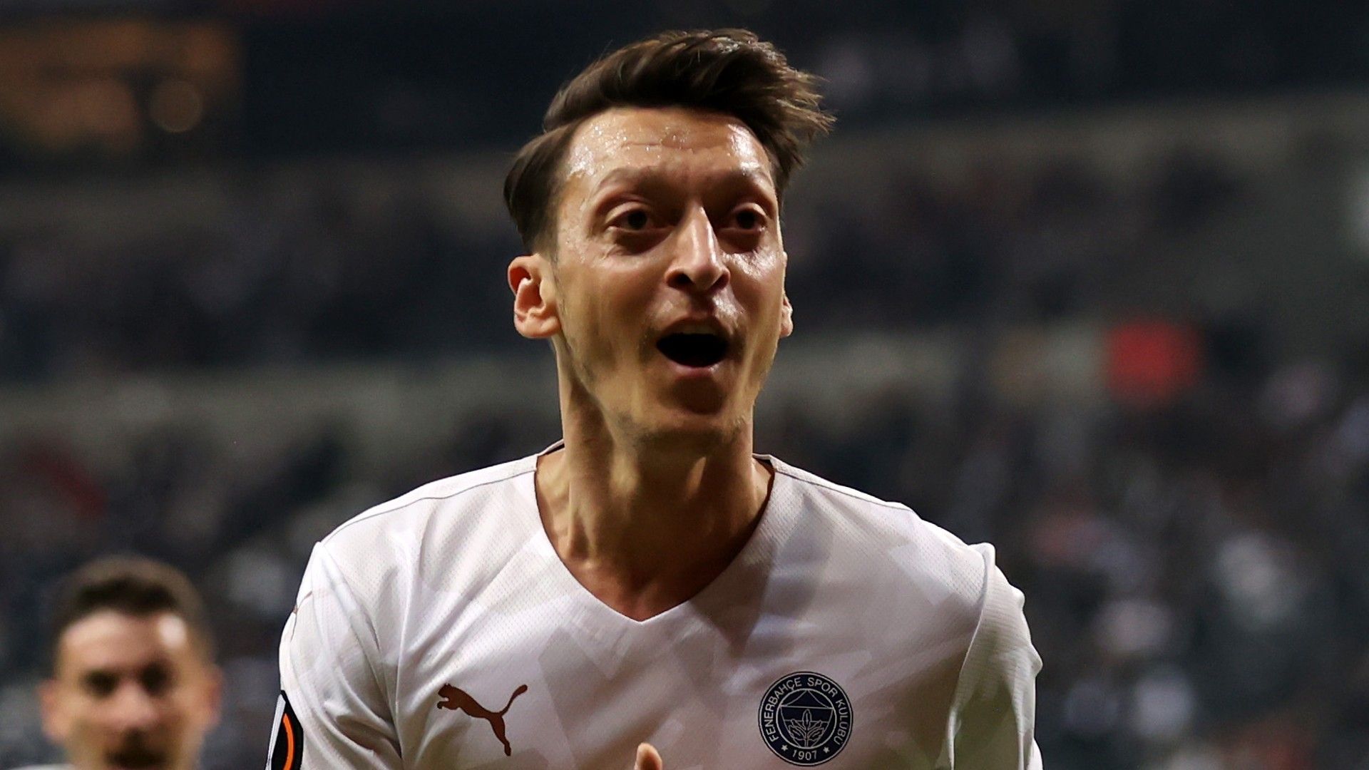 Mesut Ozil Fenerbahce