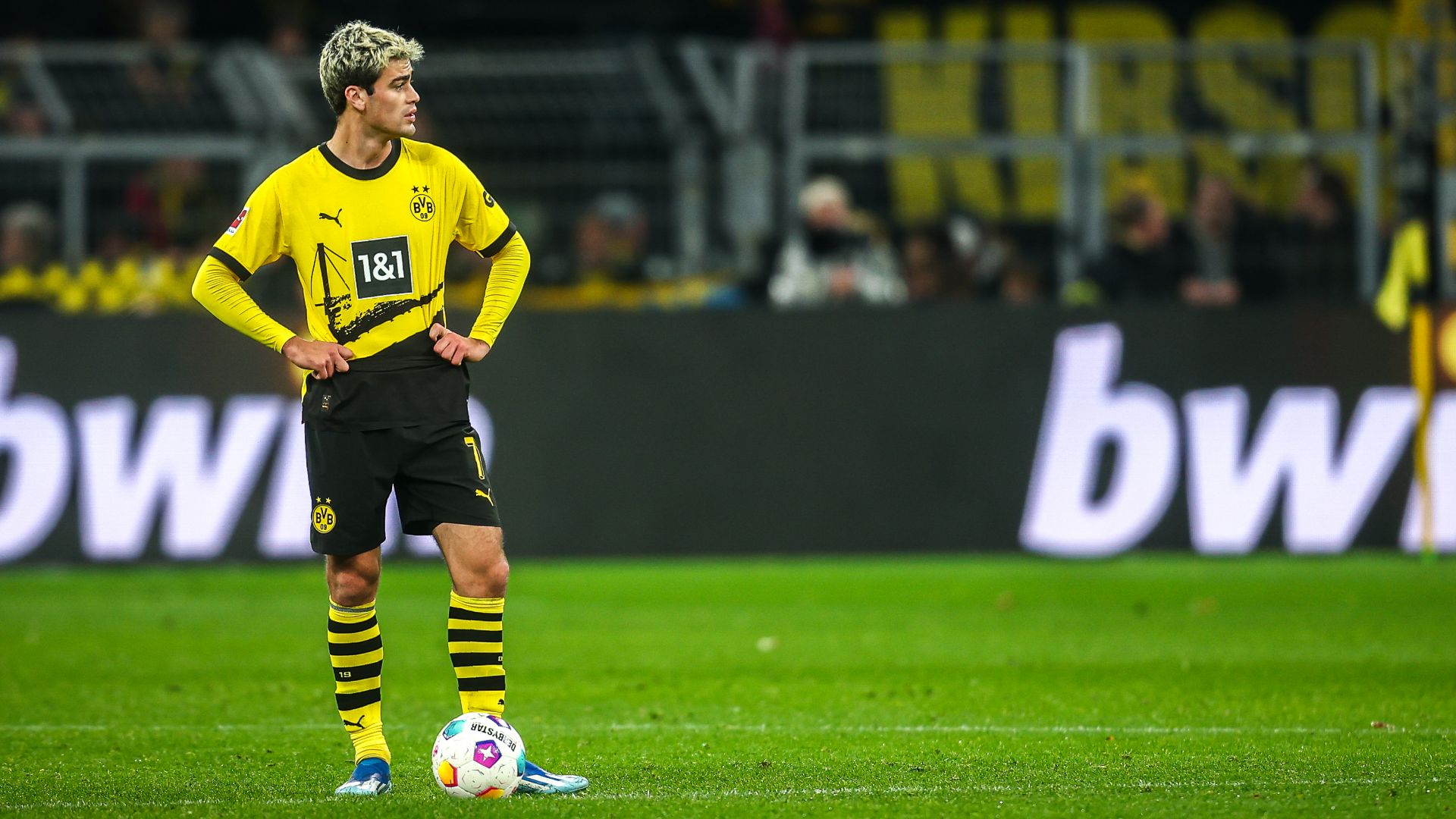 Gio Reyna Dortmund 2023-24