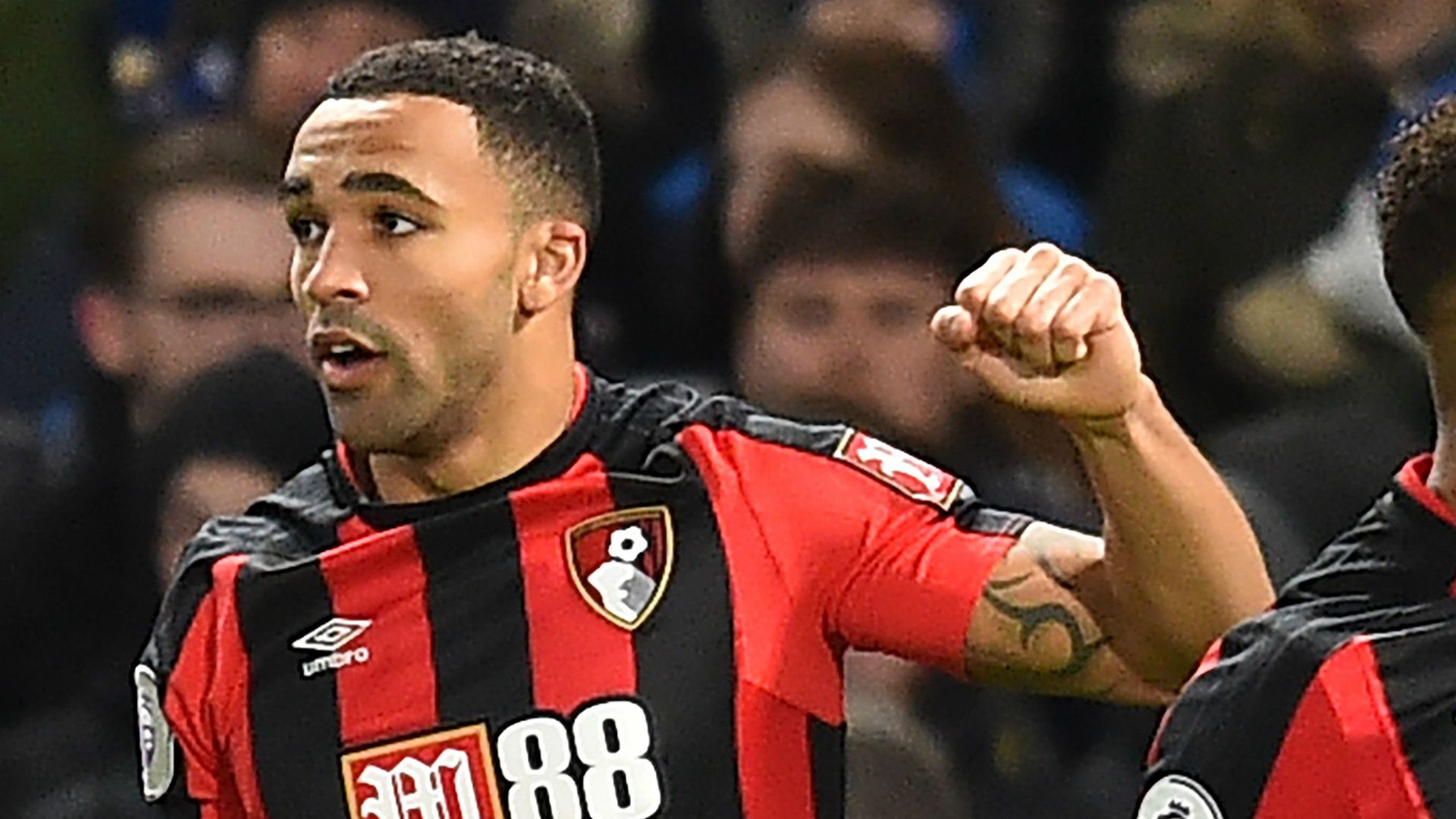 Callum Wilson Bournemouth