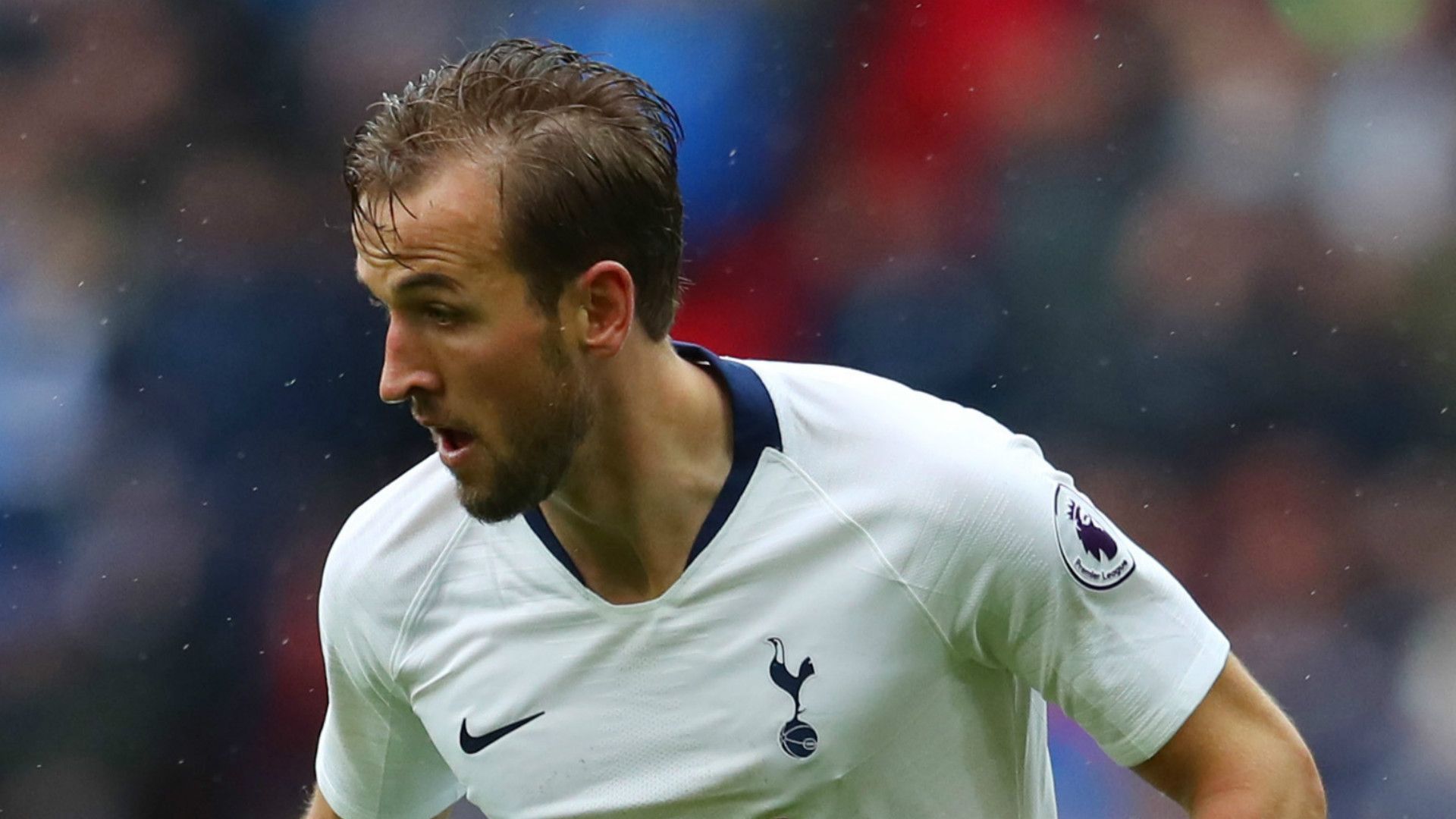 Harry Kane Tottenham 2018-19