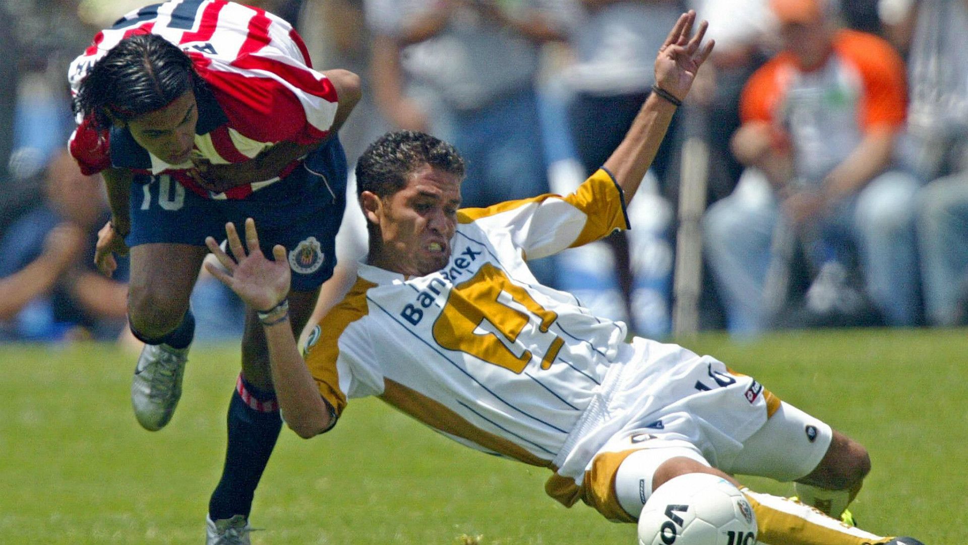 Pumas 2004